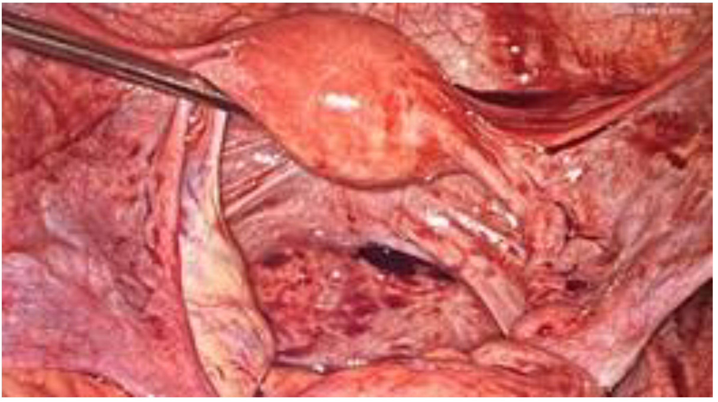 Ijerph 18 09746 g002 Ijerph 18 09746 g002