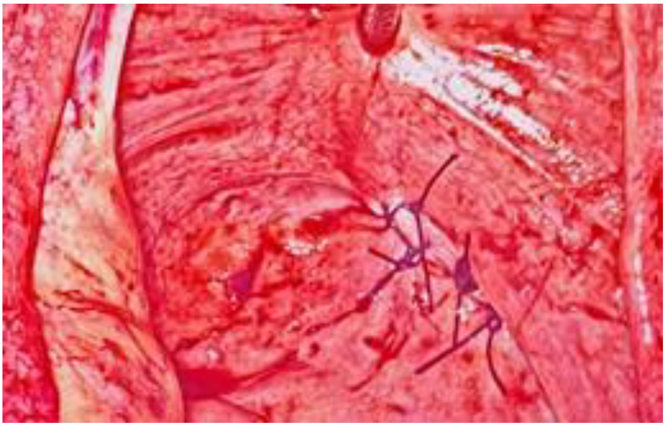 Ijerph 18 09746 g004 Ijerph 18 09746 g004