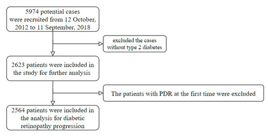 Peter J Watkins Diabetes