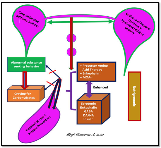 Hypothesizing Nutrigenomic-Based Precision Anti-Obesity Hypothesizing Nutrigenomic-Based Precision Anti-Obesity