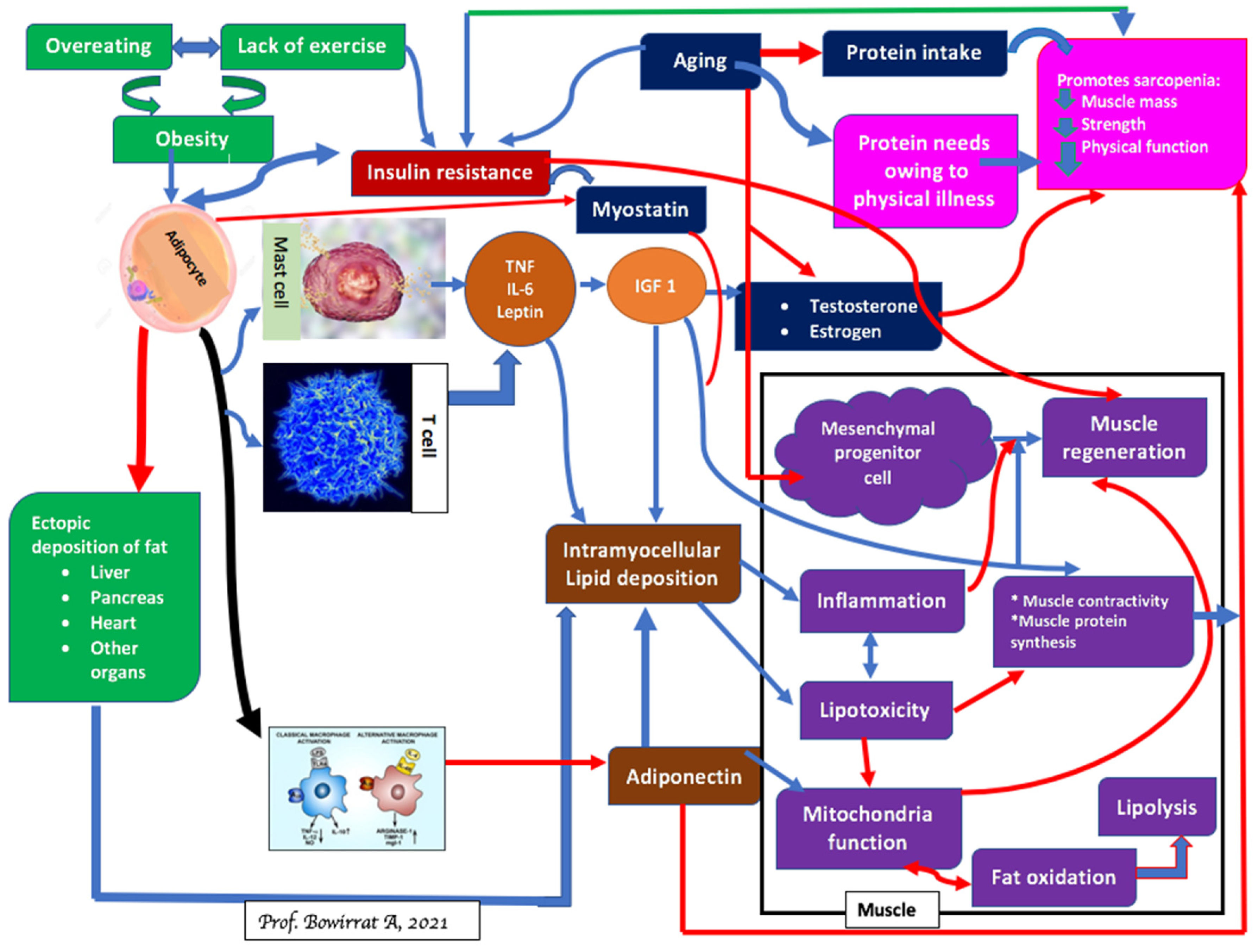 Ijerph 18 09774 g005