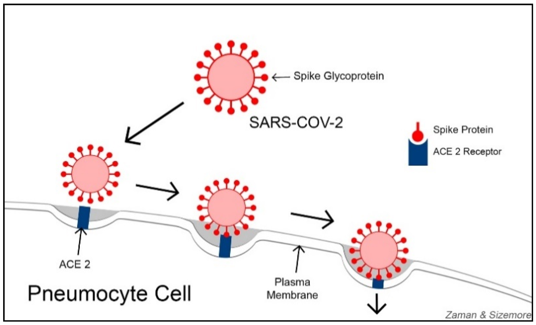 Ijerph 18 09785 g001 550