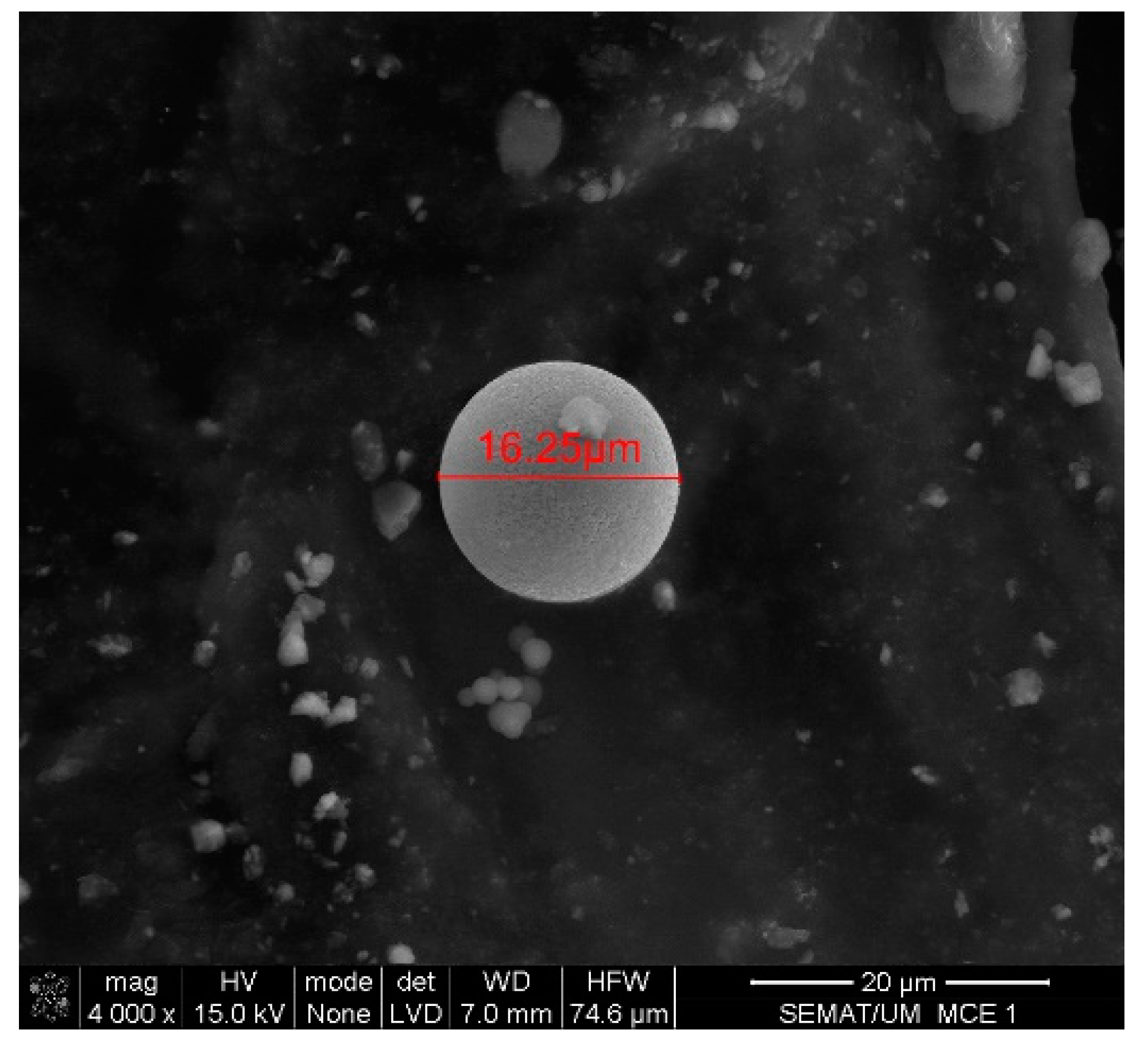 Ijerph 18 09788 g009