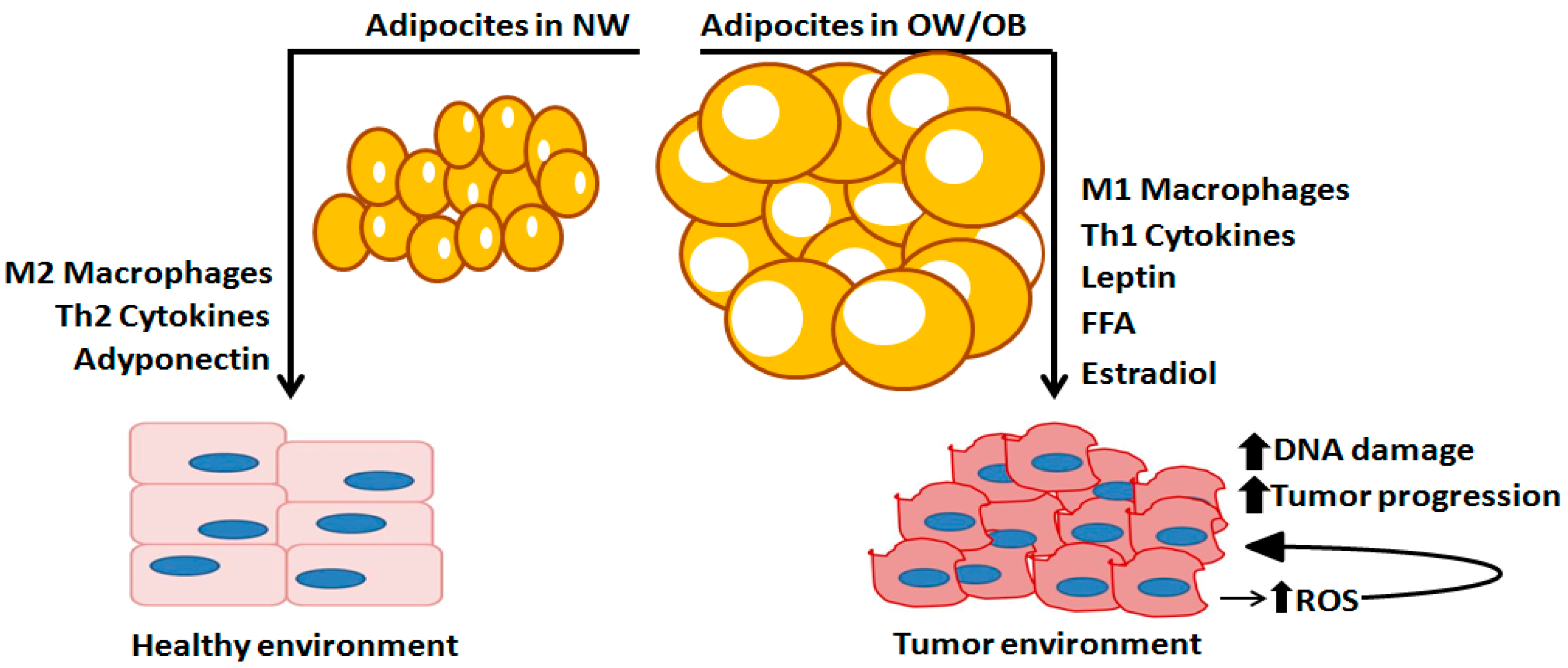 Ijerph 18 09834 g002