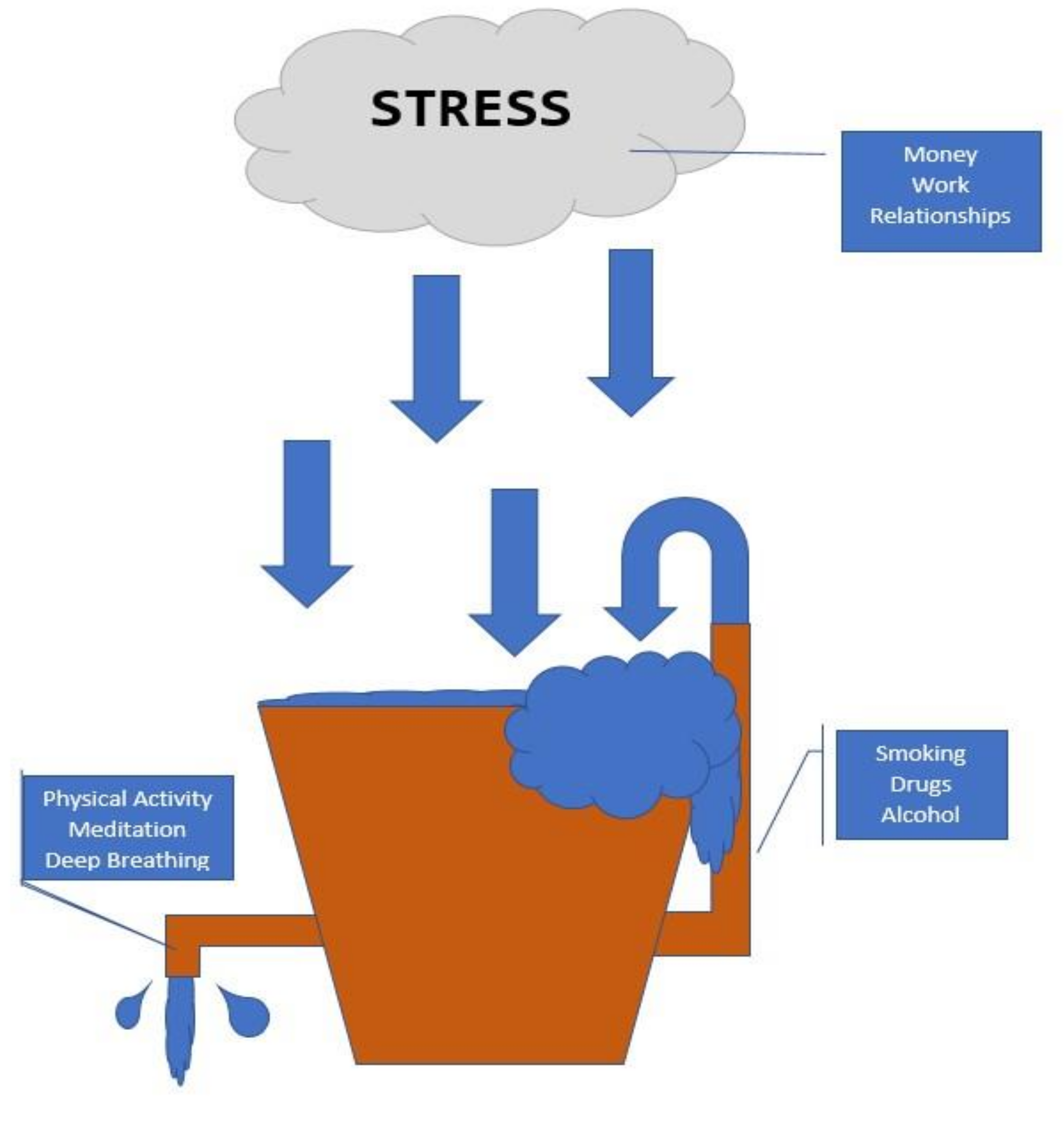 IJERPH Free FullText Chronic Stress, Exercise and Cardiovascular