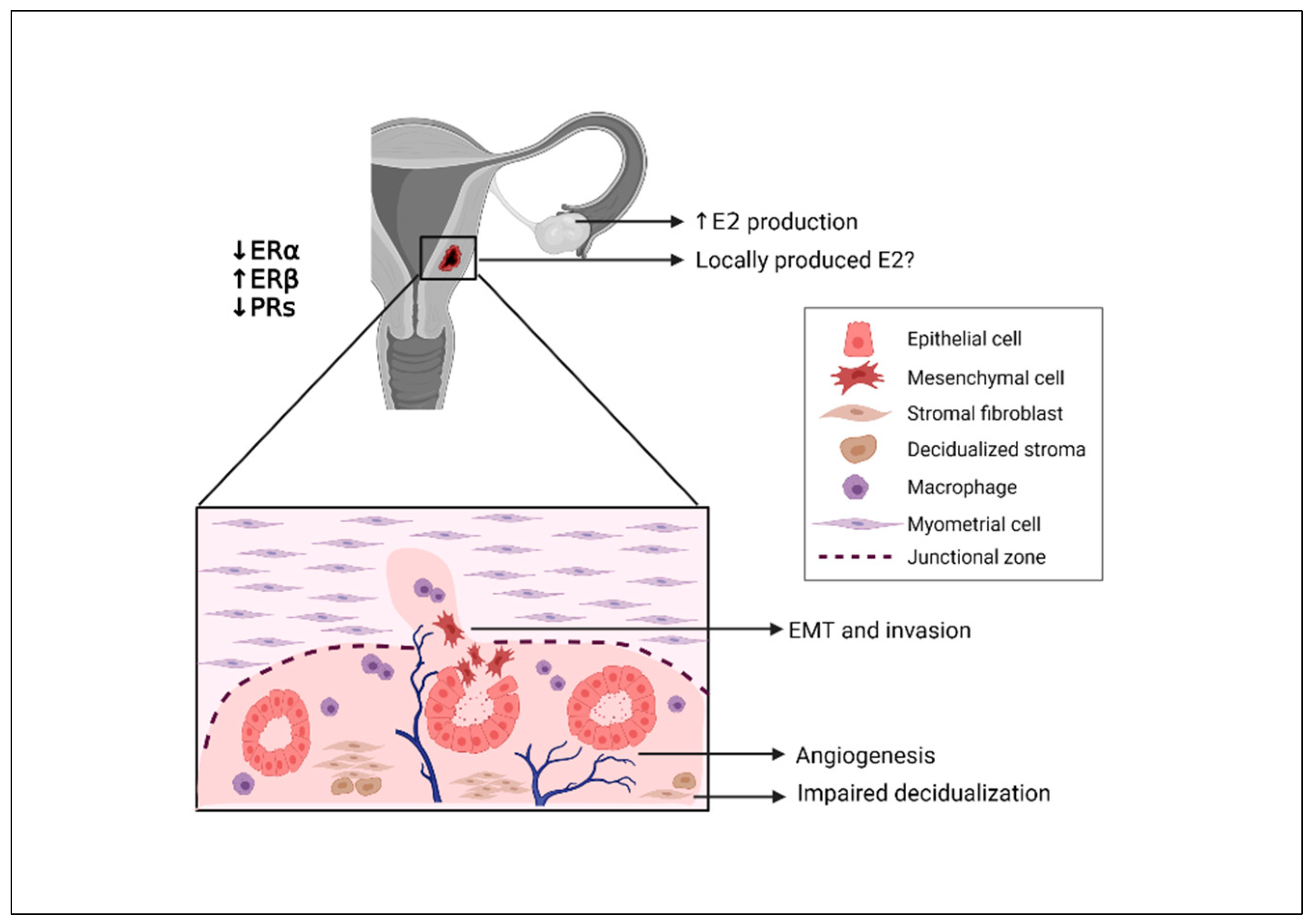 Ijerph 18 09941 g002 Ijerph 18 09941 g002
