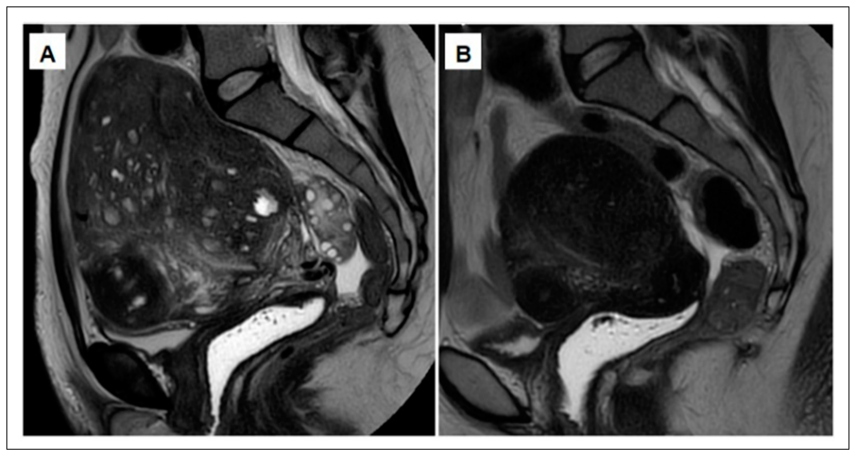 Ijerph 18 09941 g004 Ijerph 18 09941 g004