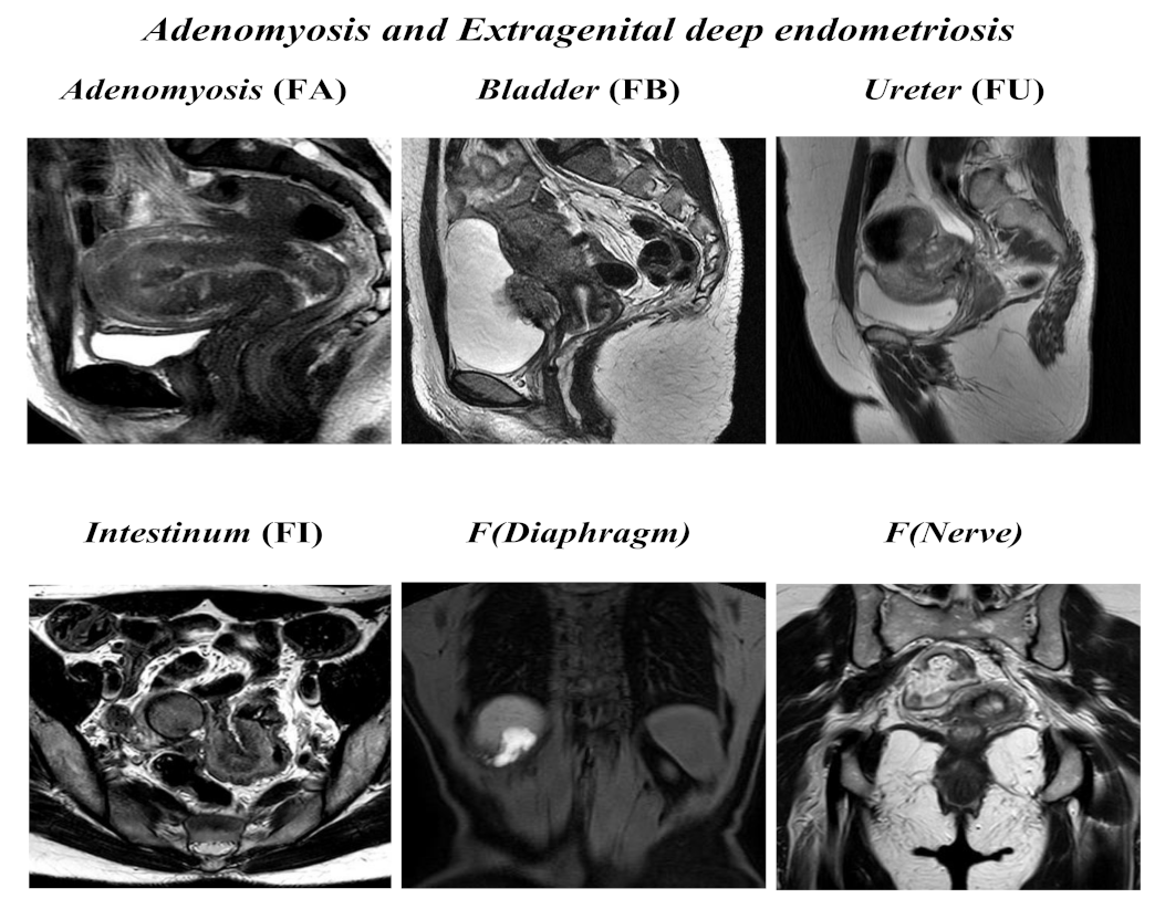 Ijerph 18 09949 g002 550