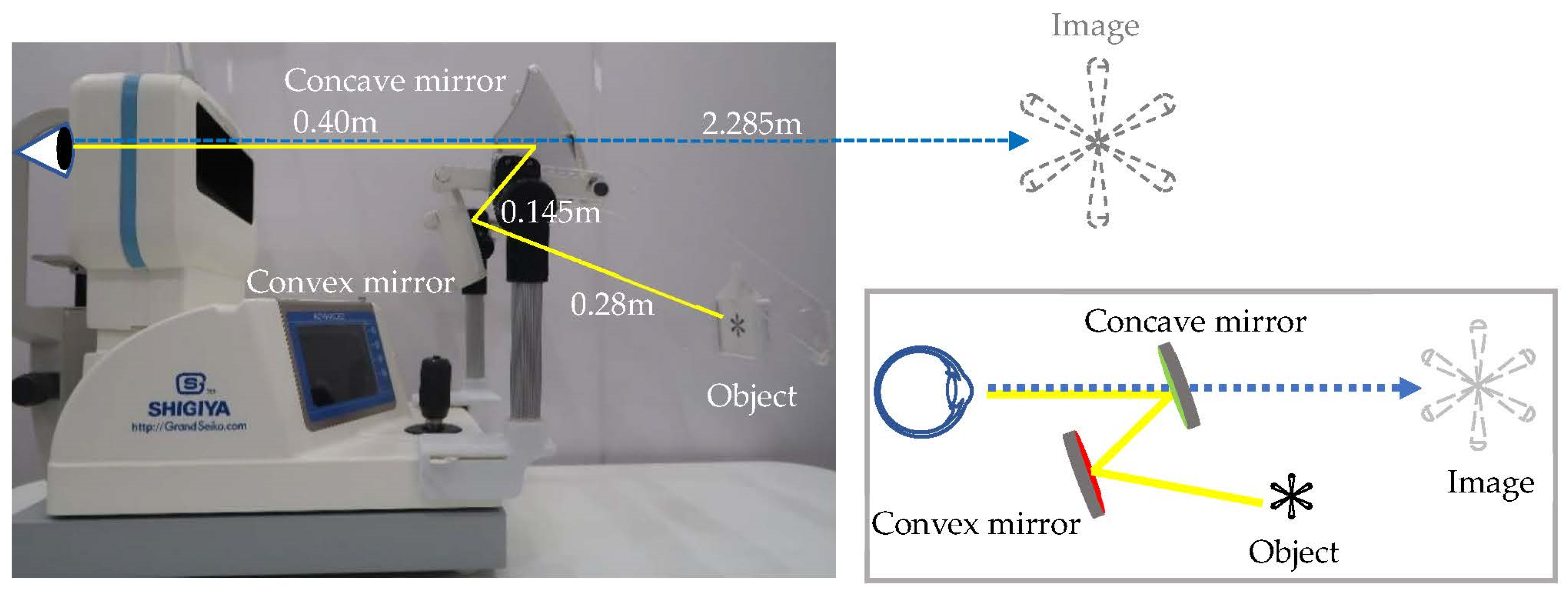 Ijerph 18 09951 g001 550