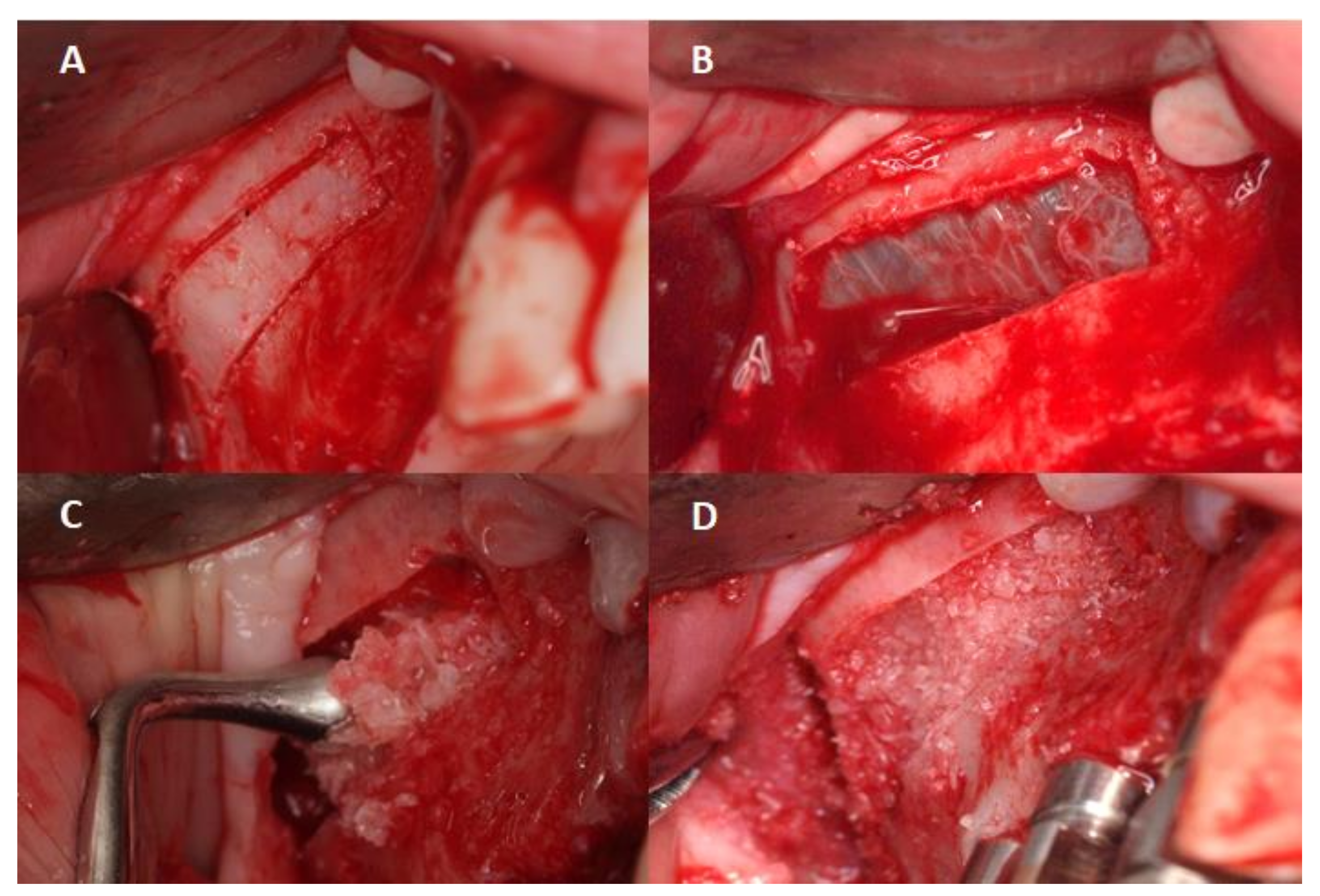Ijerph 18 09975 g002