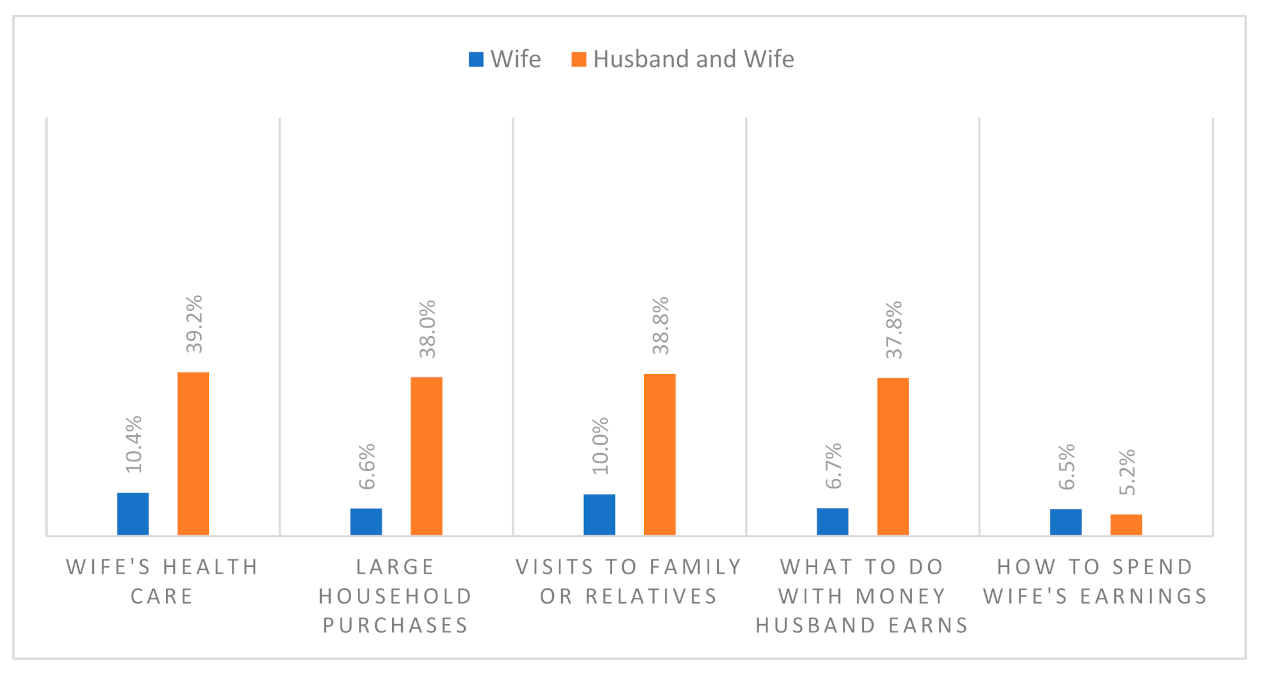 IJERPH Free Full-Text Womens Participation in Household Decision Making and Justification of Wife Beating A Secondary Data Analysis from Pakistans Demographic and Health Survey photo