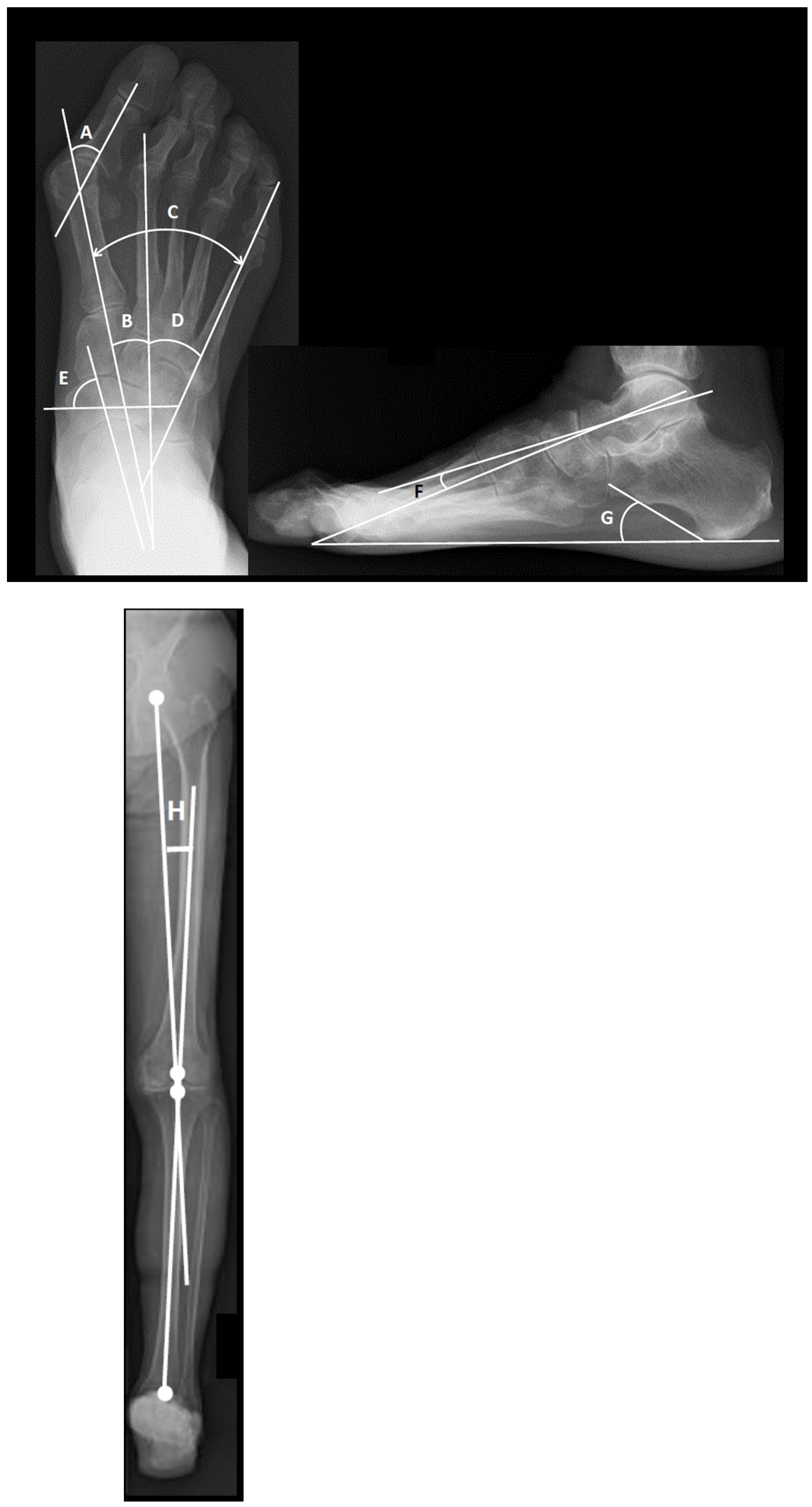 Ijerph 18 10037 g001 550