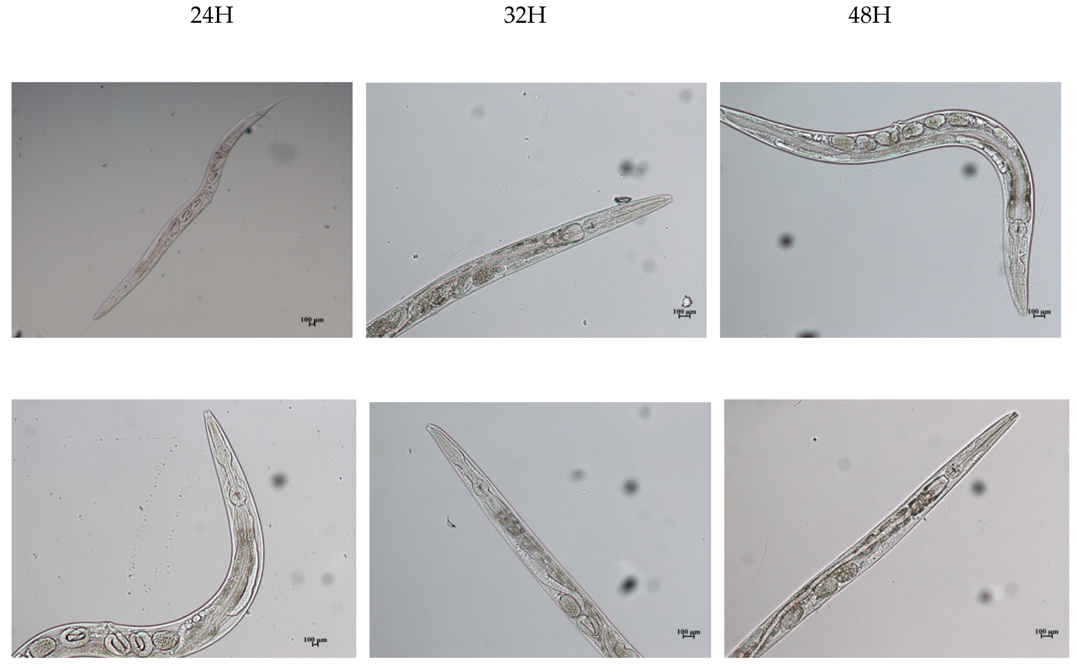 Ijerph 18 10040 g003