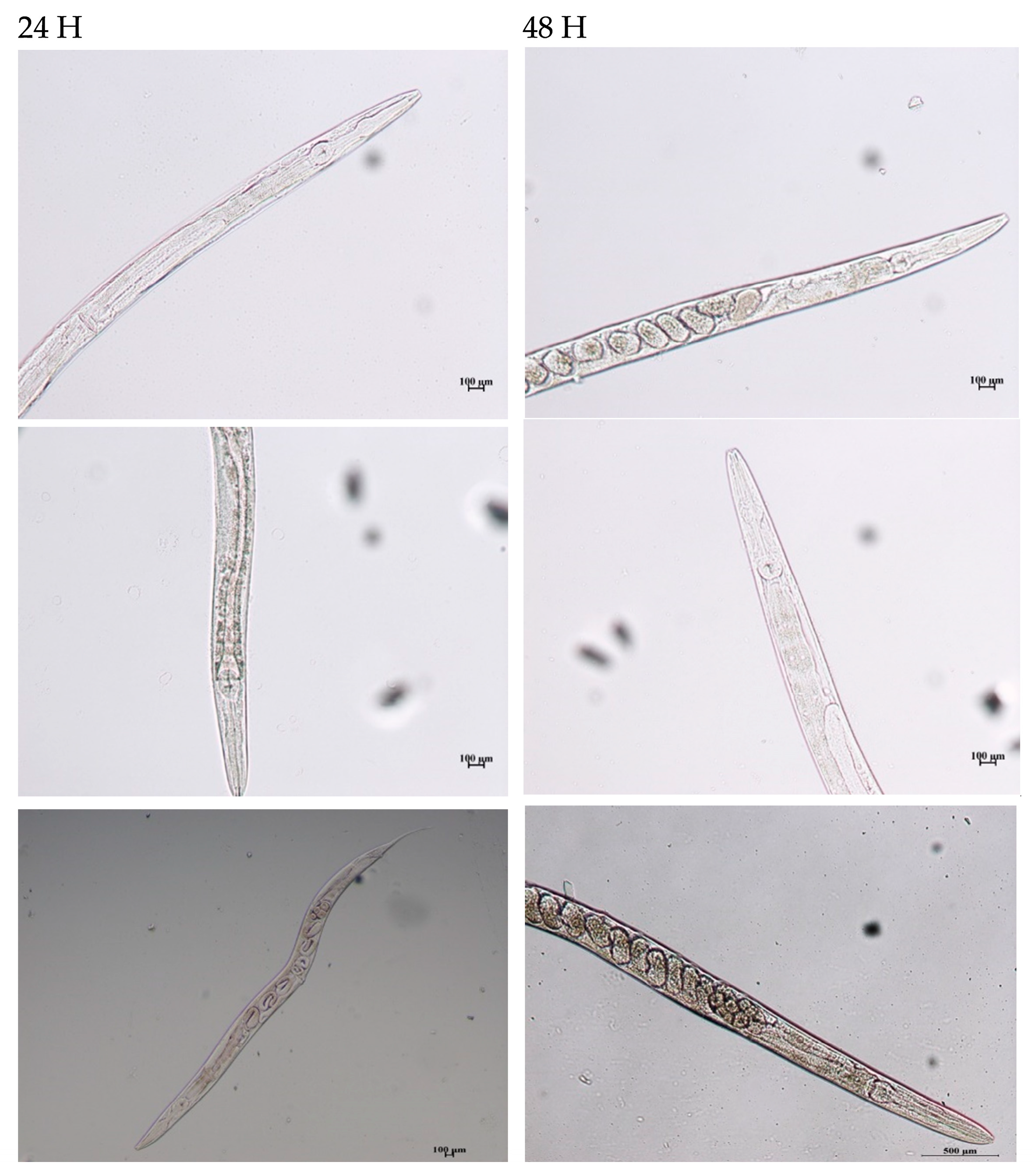 Ijerph 18 10040 g004