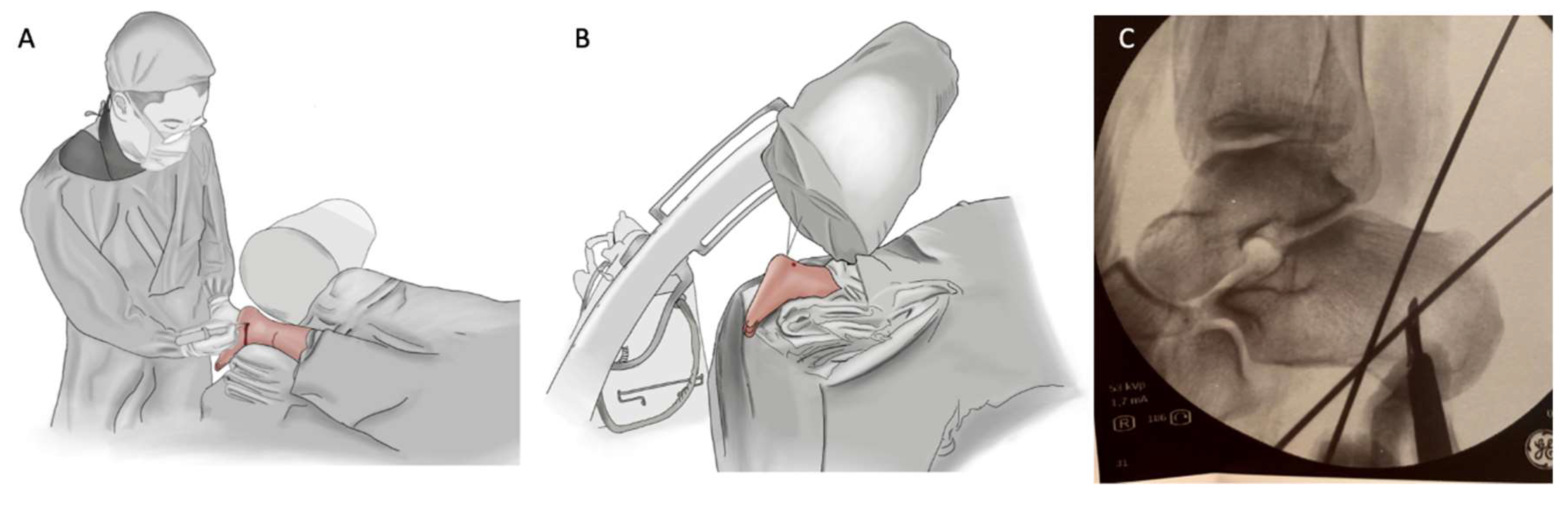 Ijerph 18 10089 g001