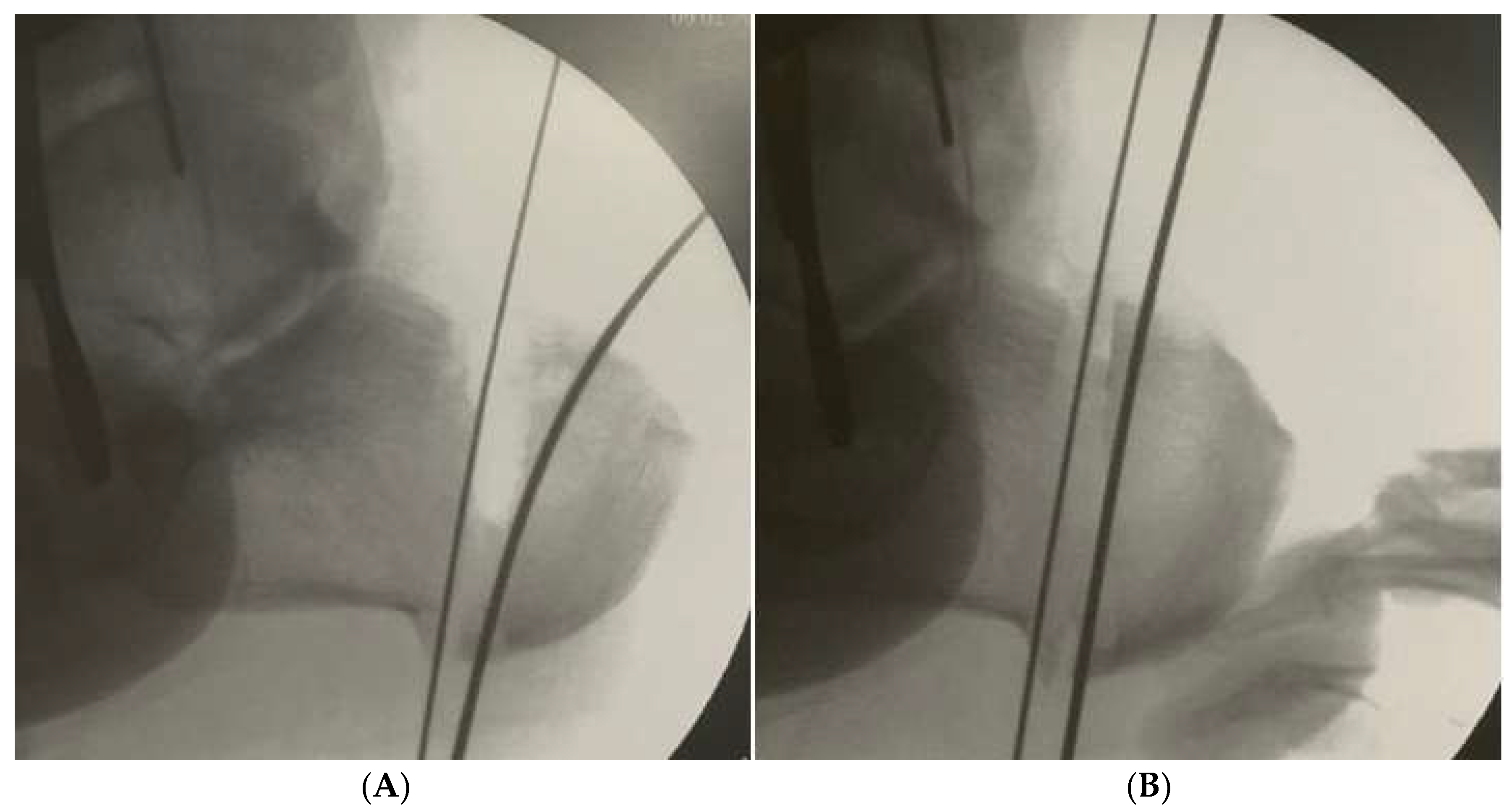 Ijerph 18 10089 g002