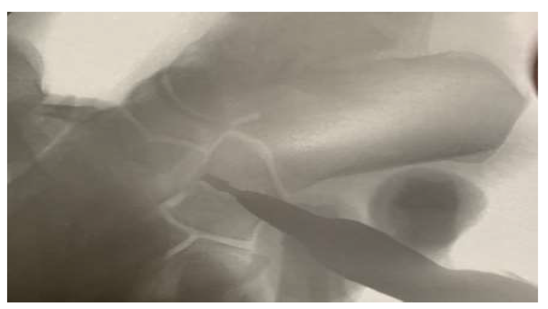 Ijerph 18 10089 g003