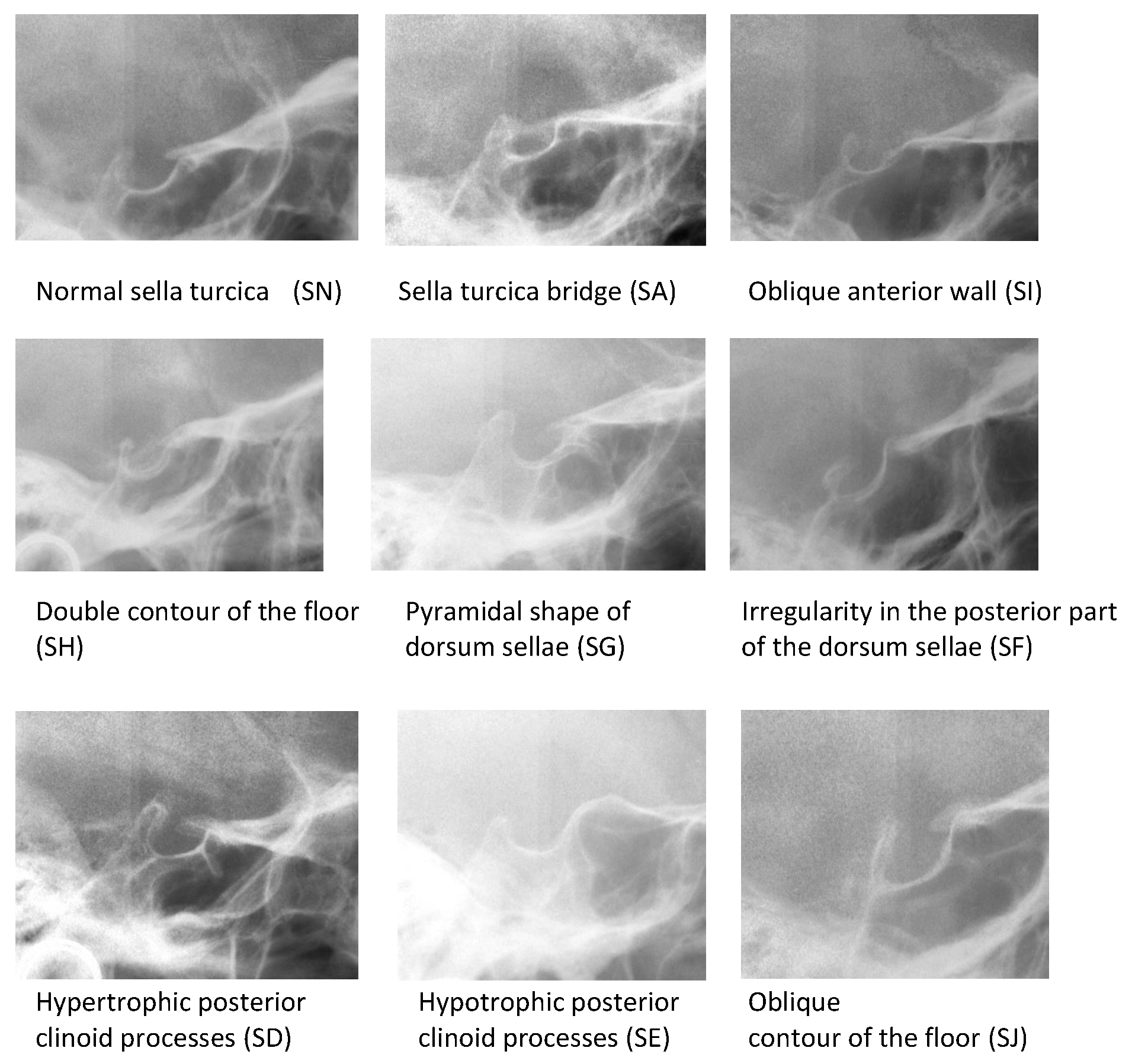 Ijerph 18 10101 g001