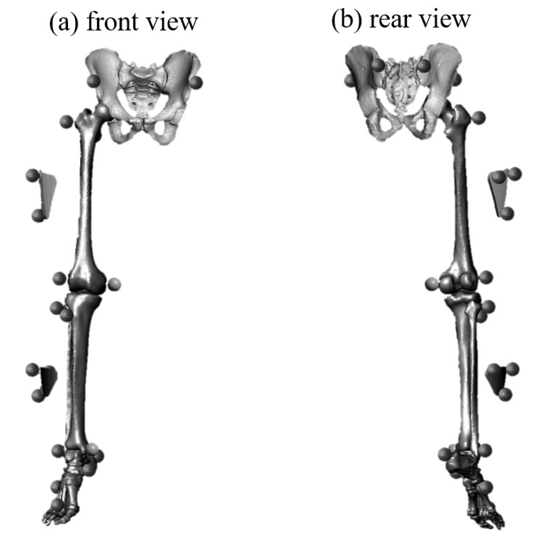 Ijerph 18 10110 g002 550