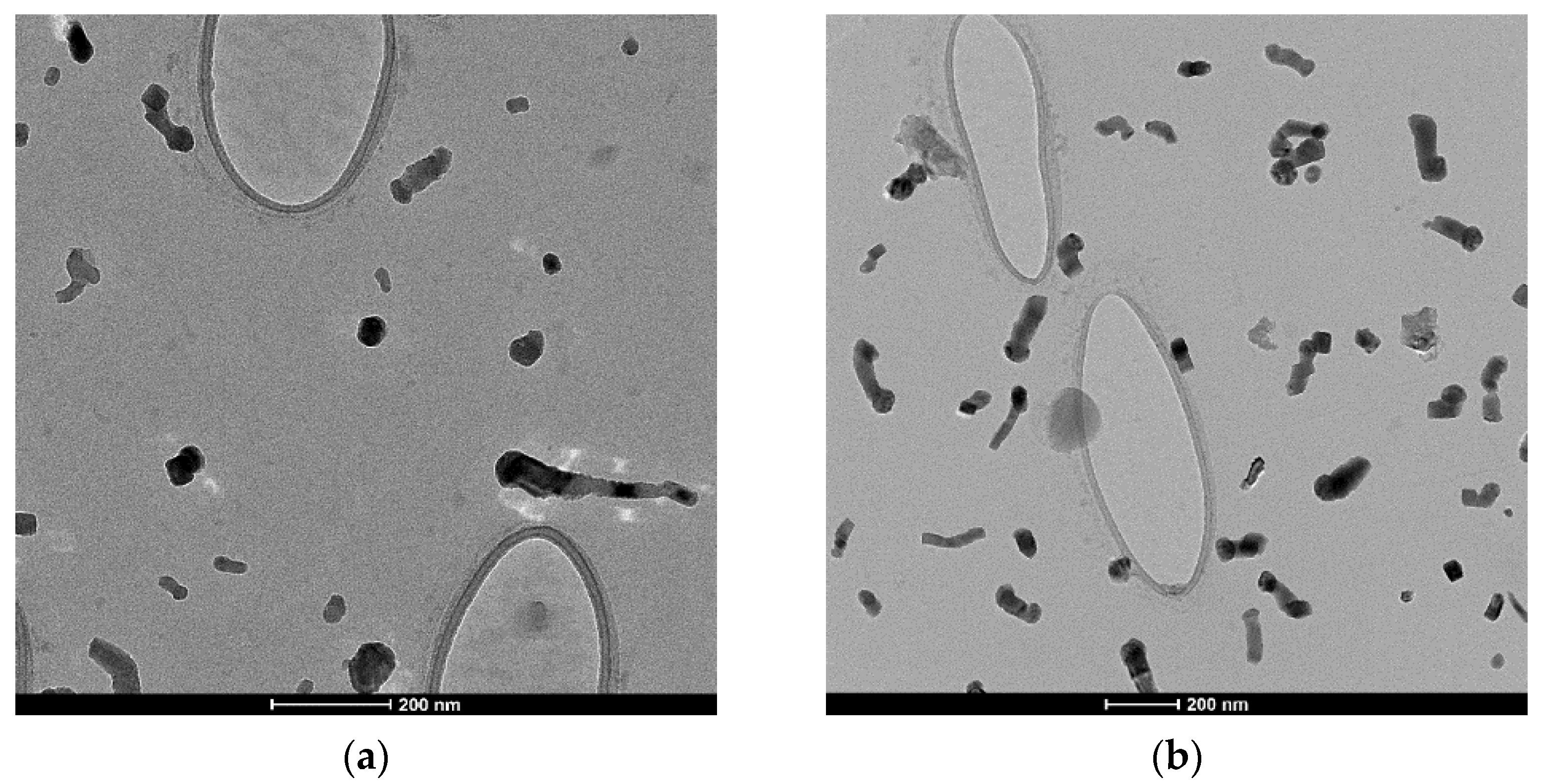 Ijerph 18 10126 g004