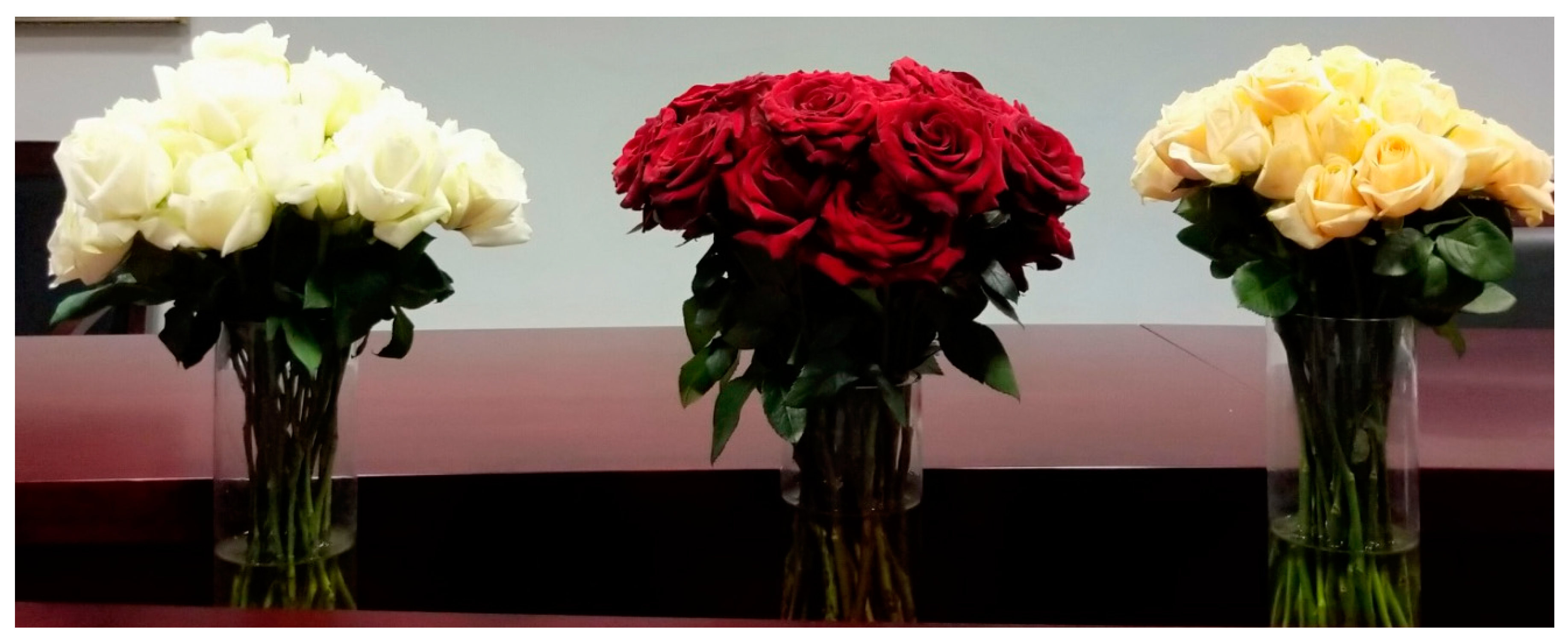 IJERPH | Free Full-Text | How Can Flowers and Their Colors Promote