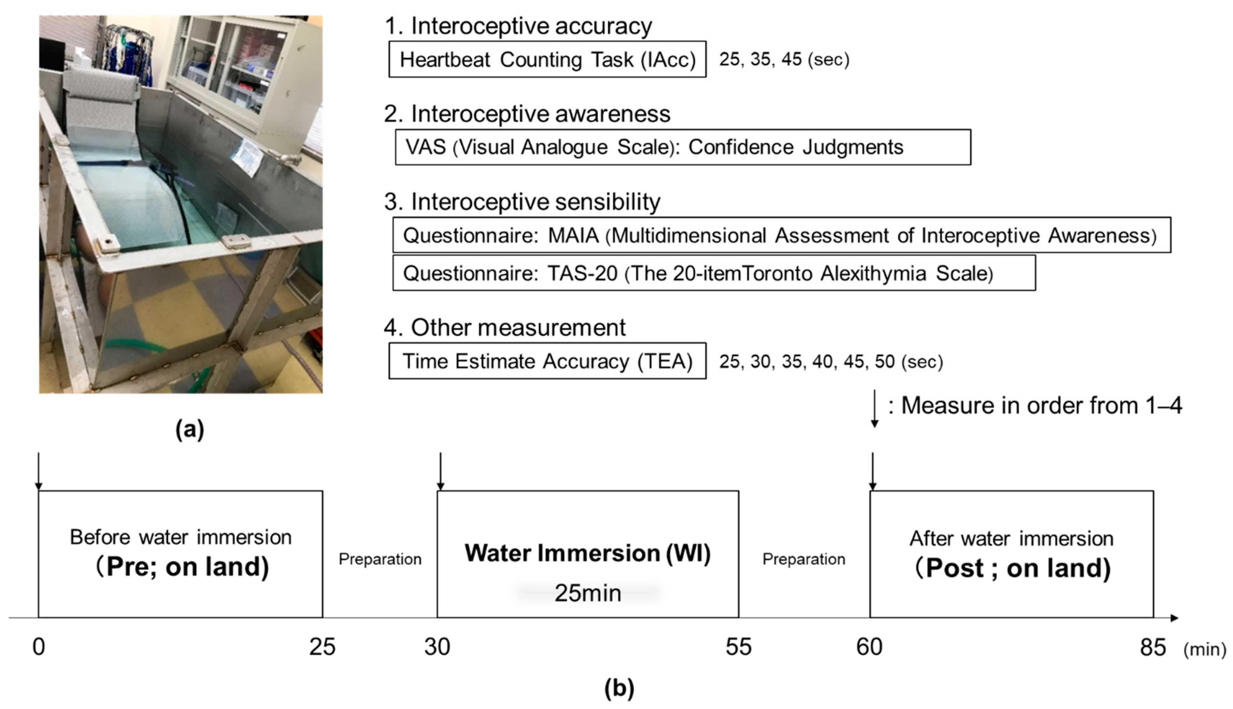 Ijerph Free Full Text Does Long Term Training In A Water Immersion Environment Change Interoception Html Ijerph Free Full Text Does Long Term Training In A Water Immersion Environment Change Interoception Html