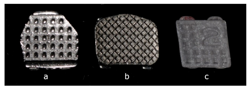 Ijerph 18 10267 g001 Ijerph 18 10267 g001