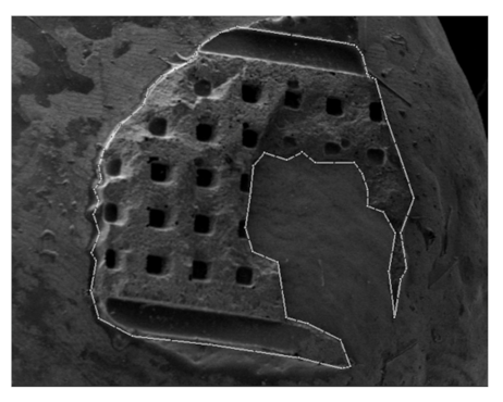 Ijerph 18 10267 g002 Ijerph 18 10267 g002