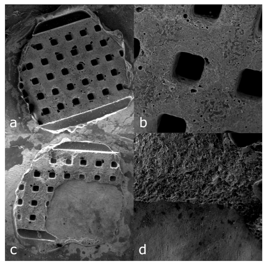 Ijerph 18 10267 g003 Ijerph 18 10267 g003