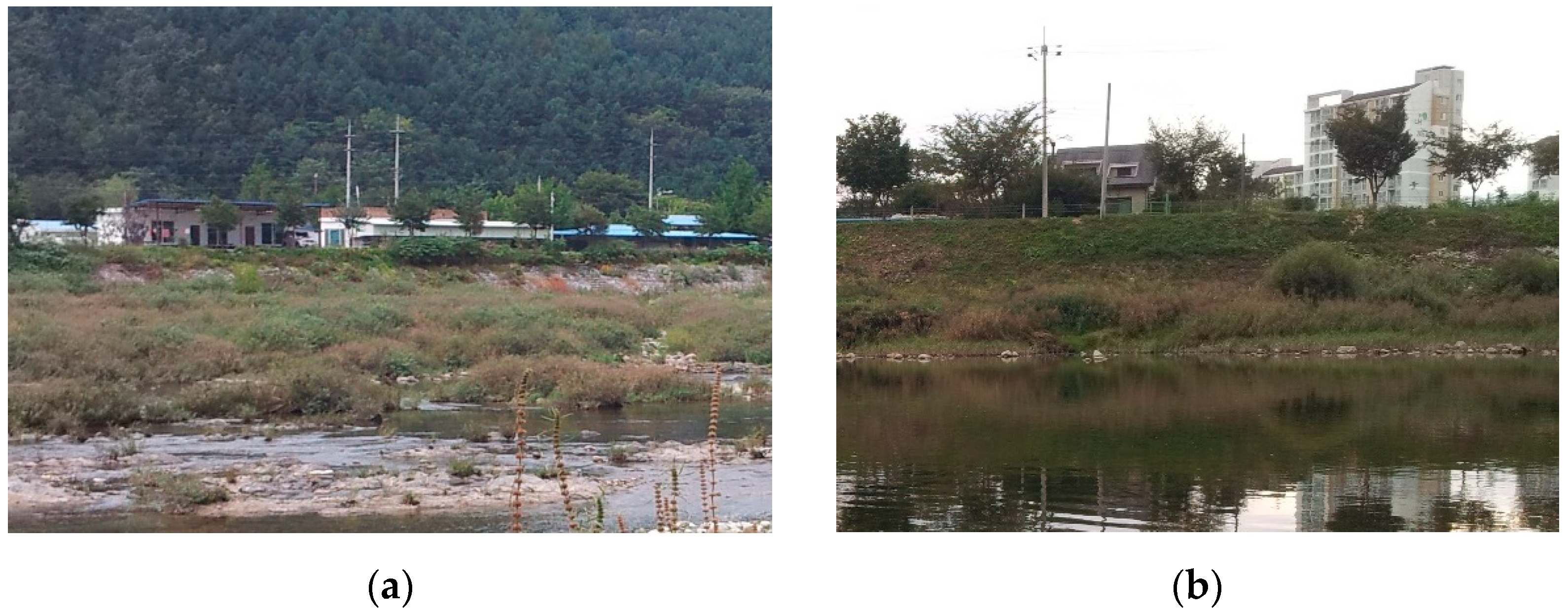 Ijerph 18 10298 g001 550