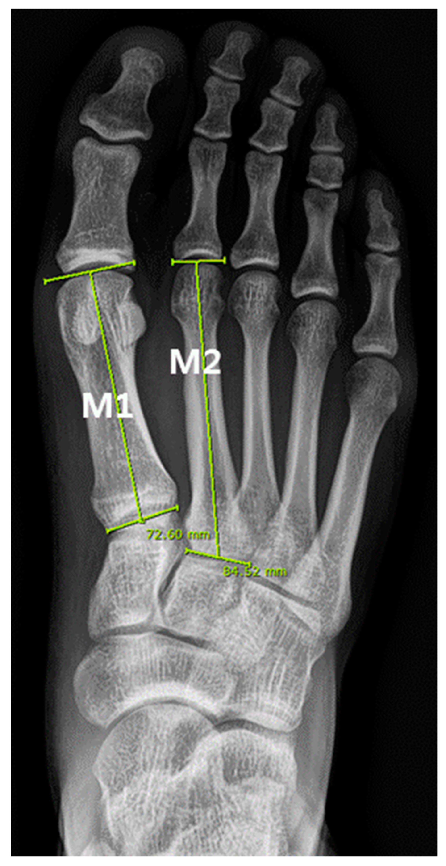 Ijerph 18 10363 g002