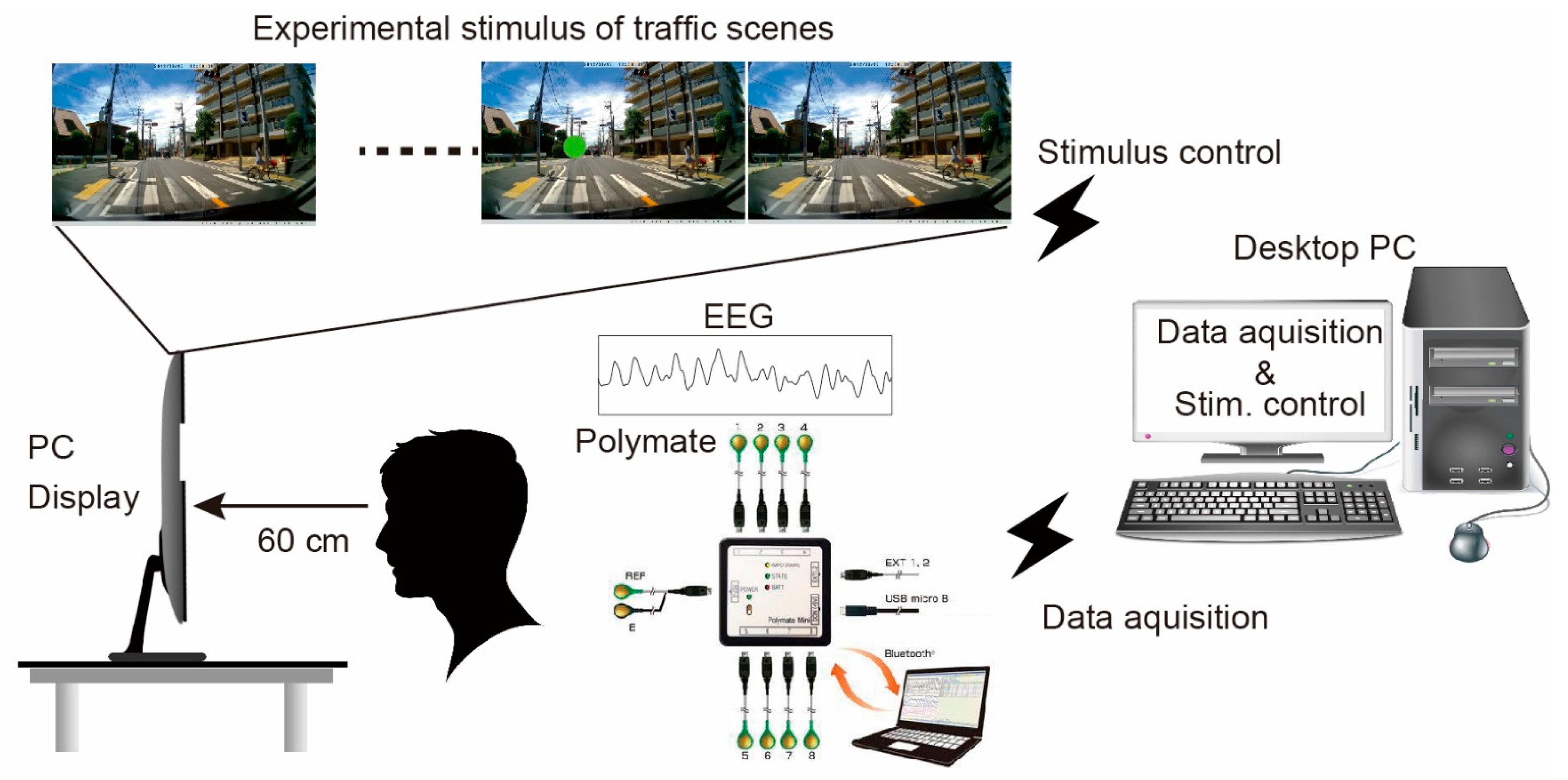 Ijerph 18 10396 g001