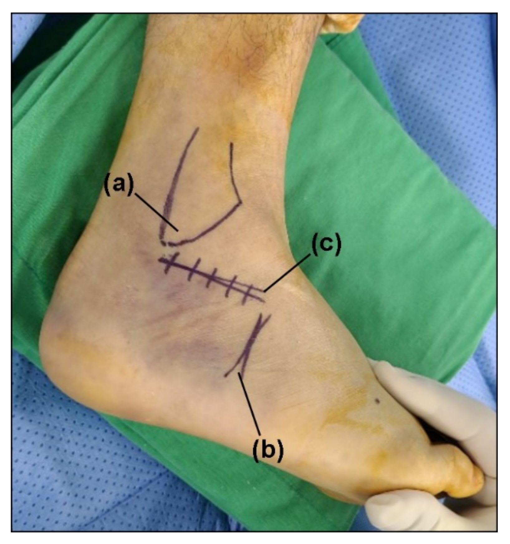 Ijerph 18 10400 g001