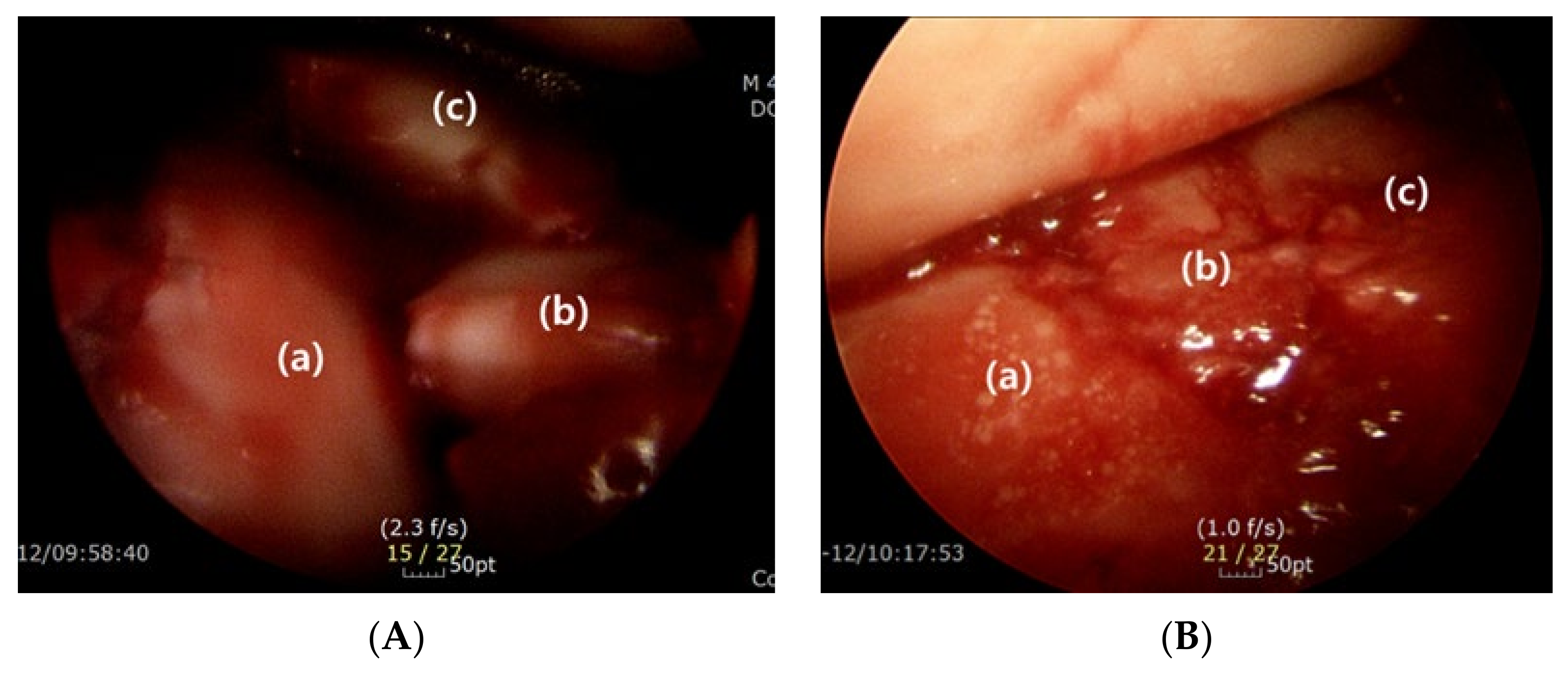 Ijerph 18 10400 g009