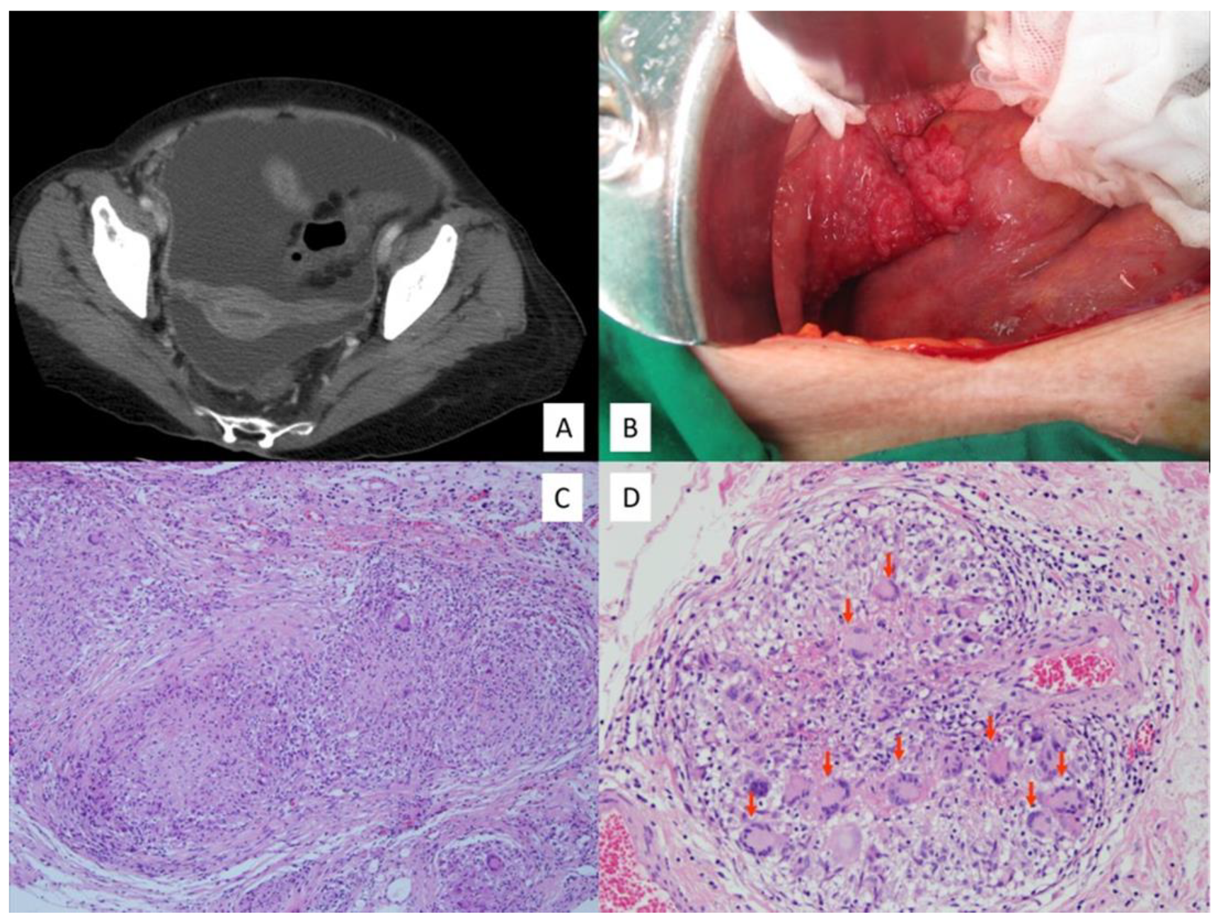 Ijerph 18 10407 g001