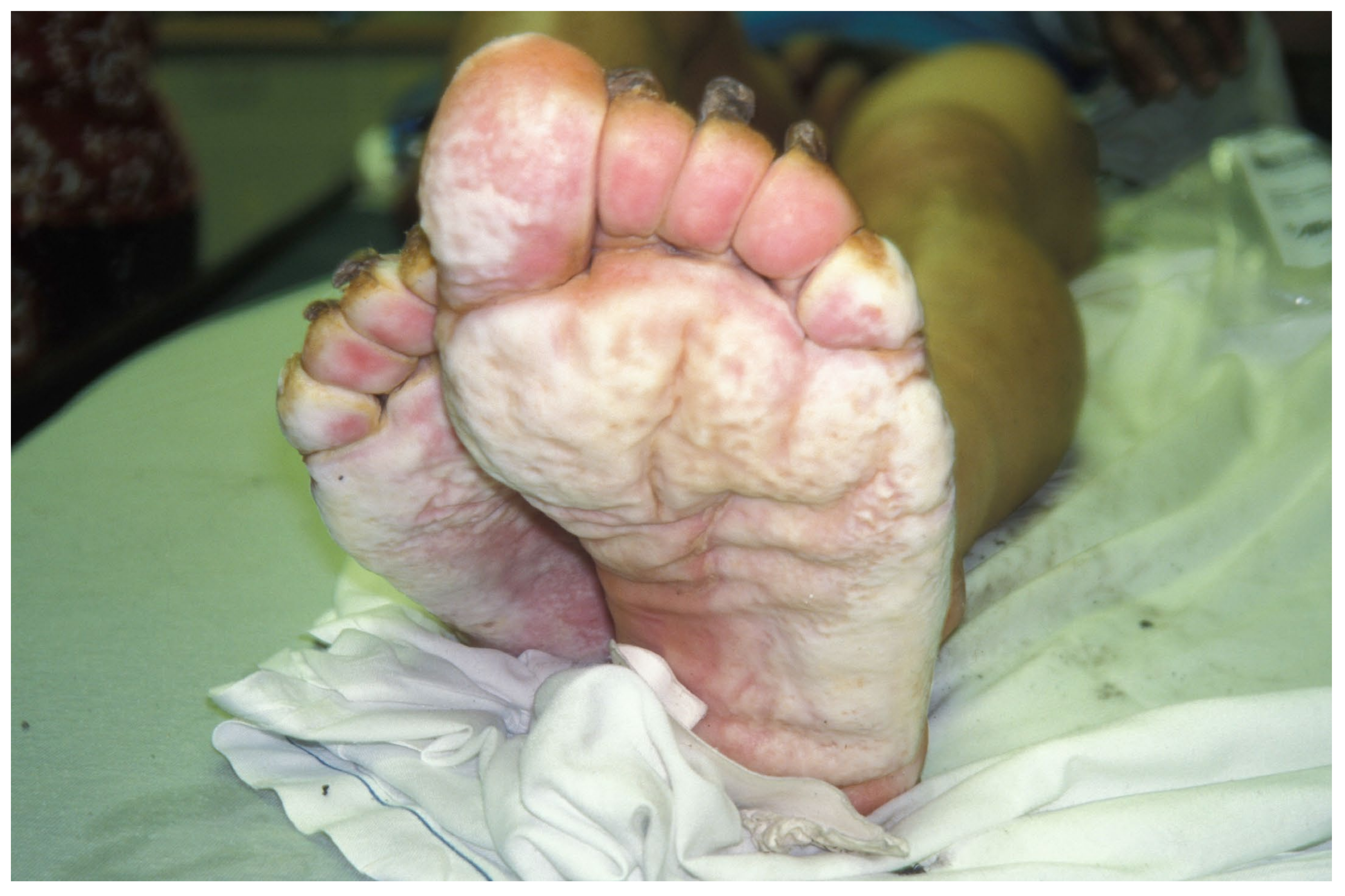 Ijerph 18 10482 g001