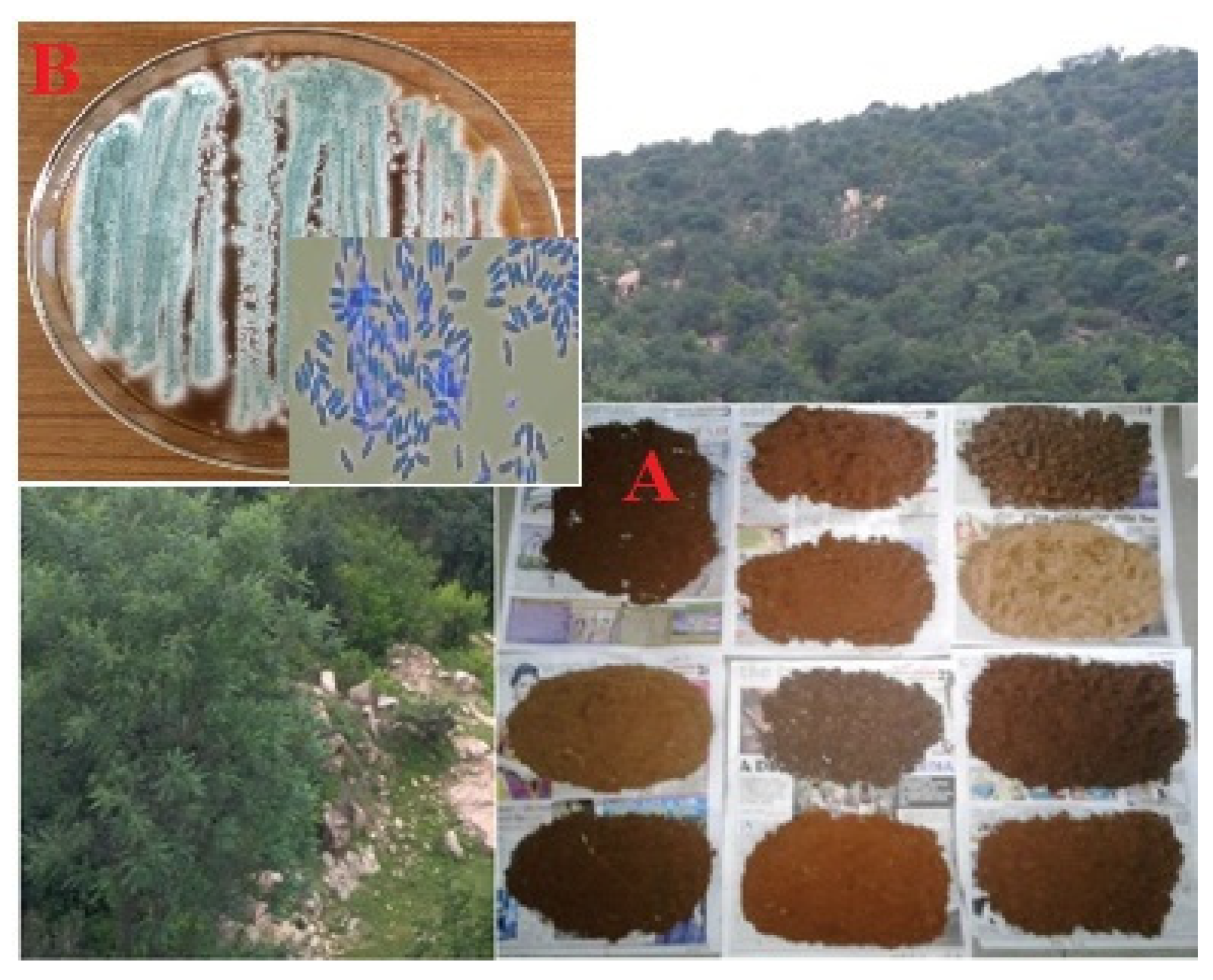 Ijerph 18 10536 g001