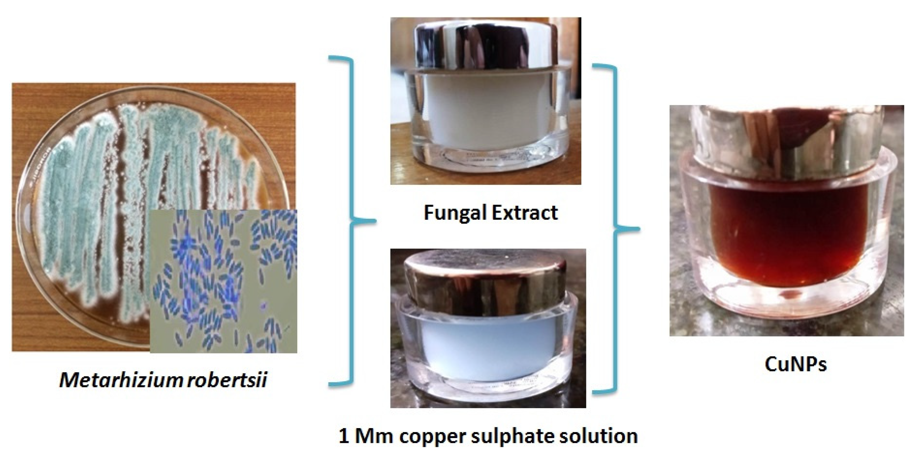 Ijerph 18 10536 g003