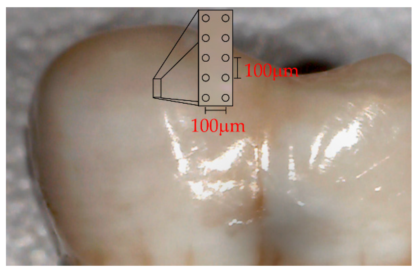 Ijerph 18 10572 g001 550