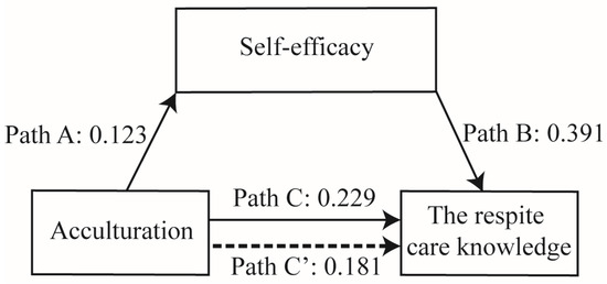 IJERPH | Free Full-Text | Self-Efficacy Mediates Acculturation and Respite  Care Knowledge of Immigrant Caregivers