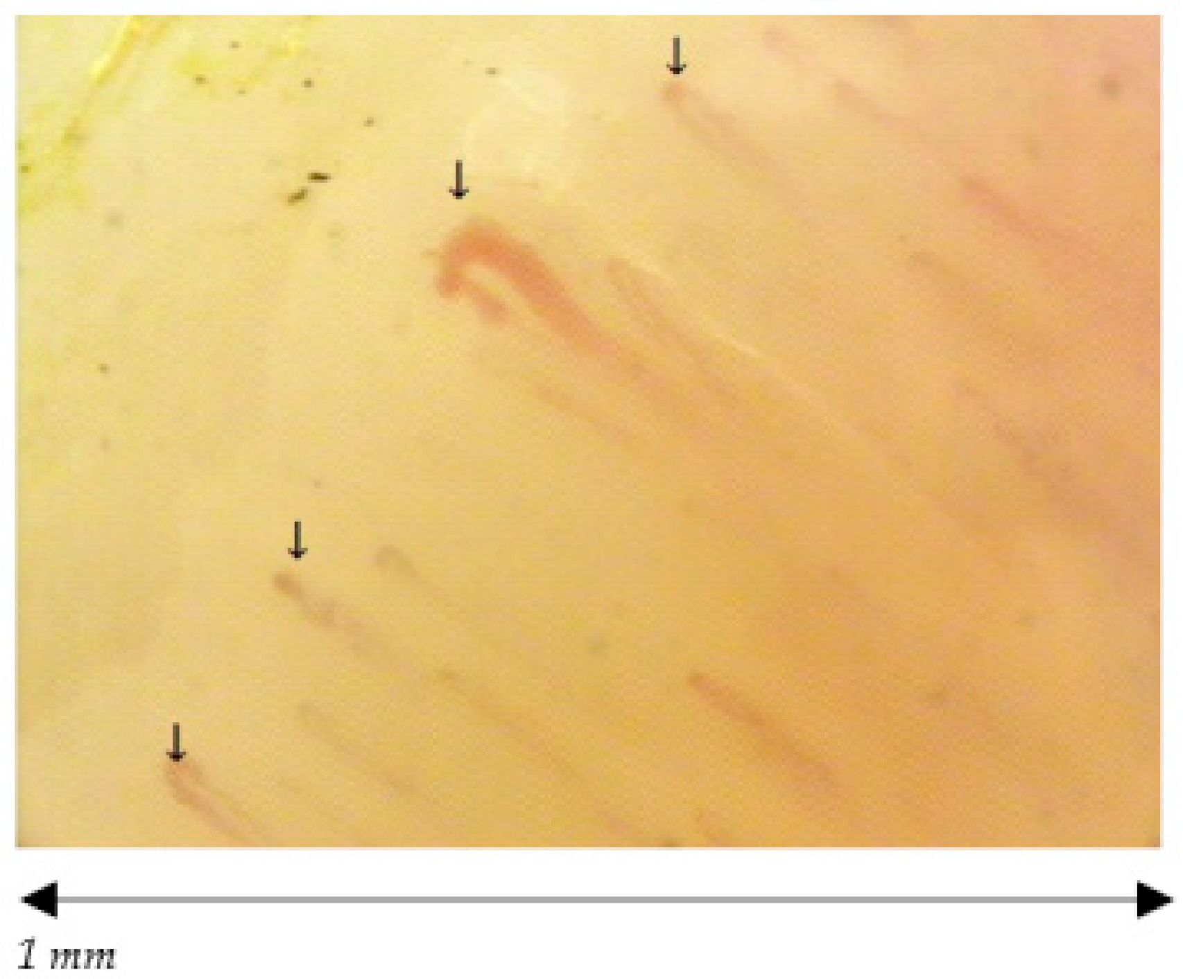 Ijerph 18 10601 g003 Ijerph 18 10601 g003