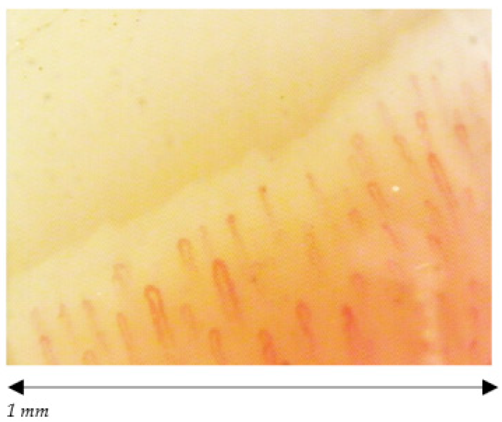 Ijerph 18 10601 g004 Ijerph 18 10601 g004