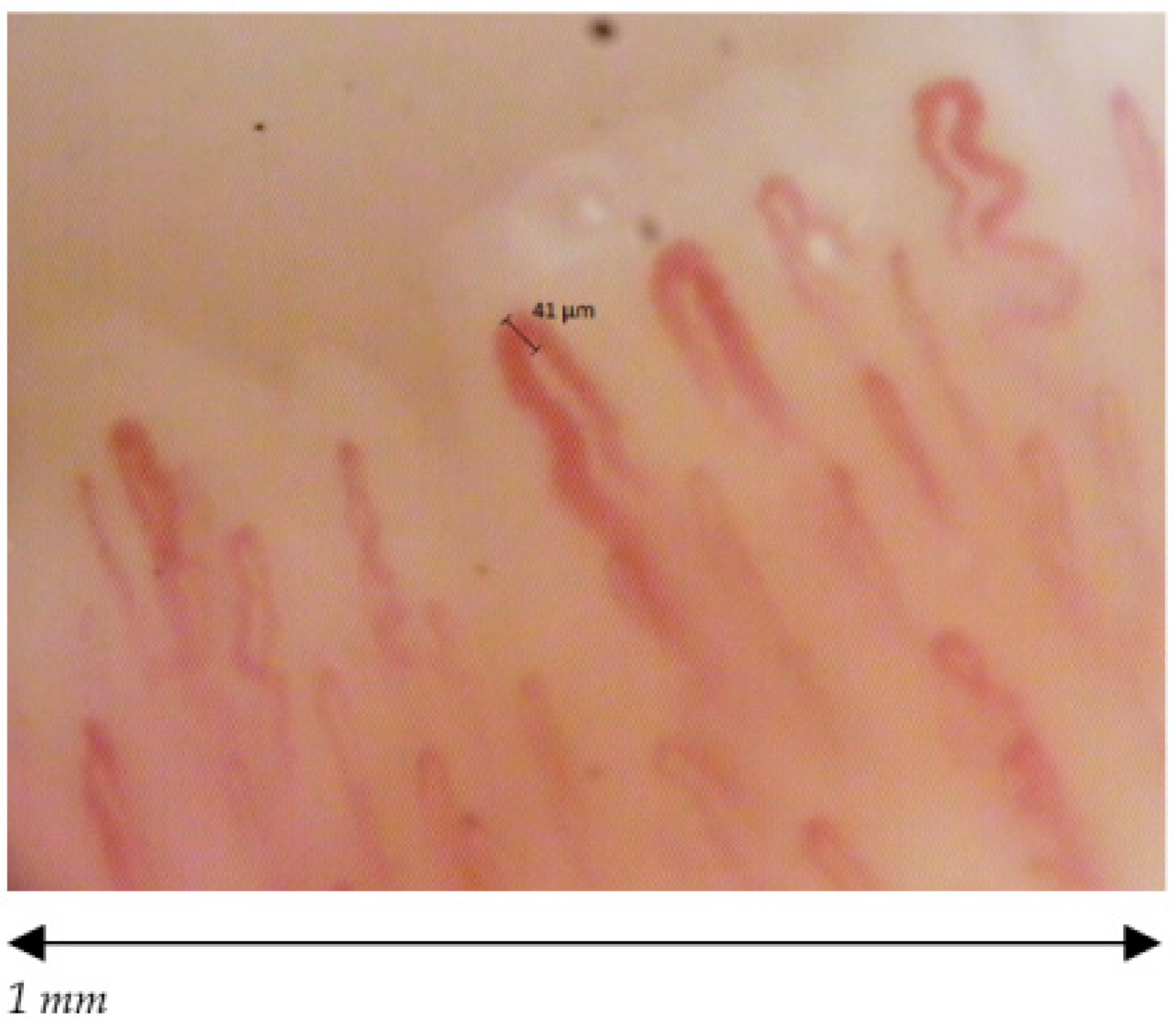 Ijerph 18 10601 g005 Ijerph 18 10601 g005