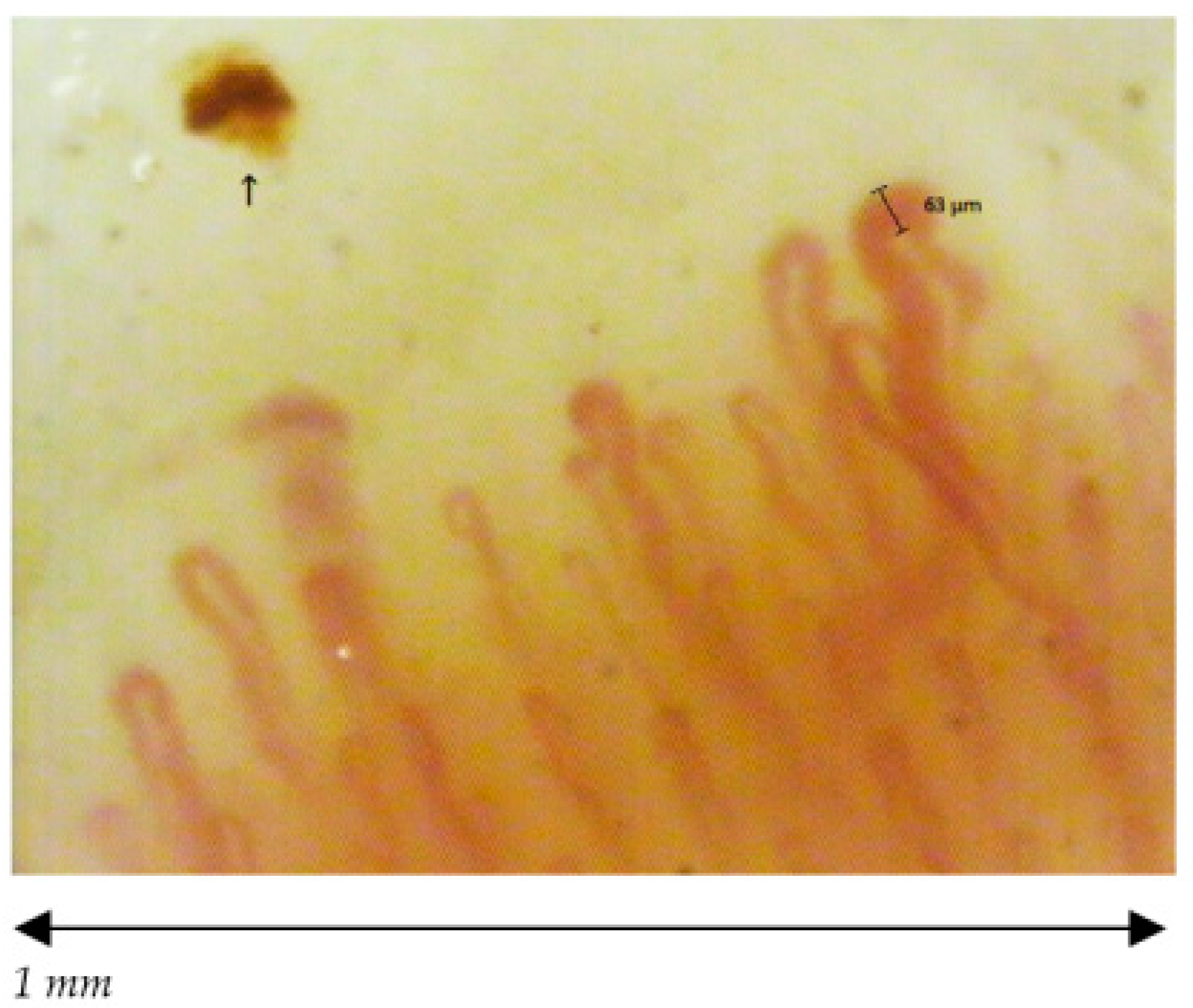 Ijerph 18 10601 g006 Ijerph 18 10601 g006