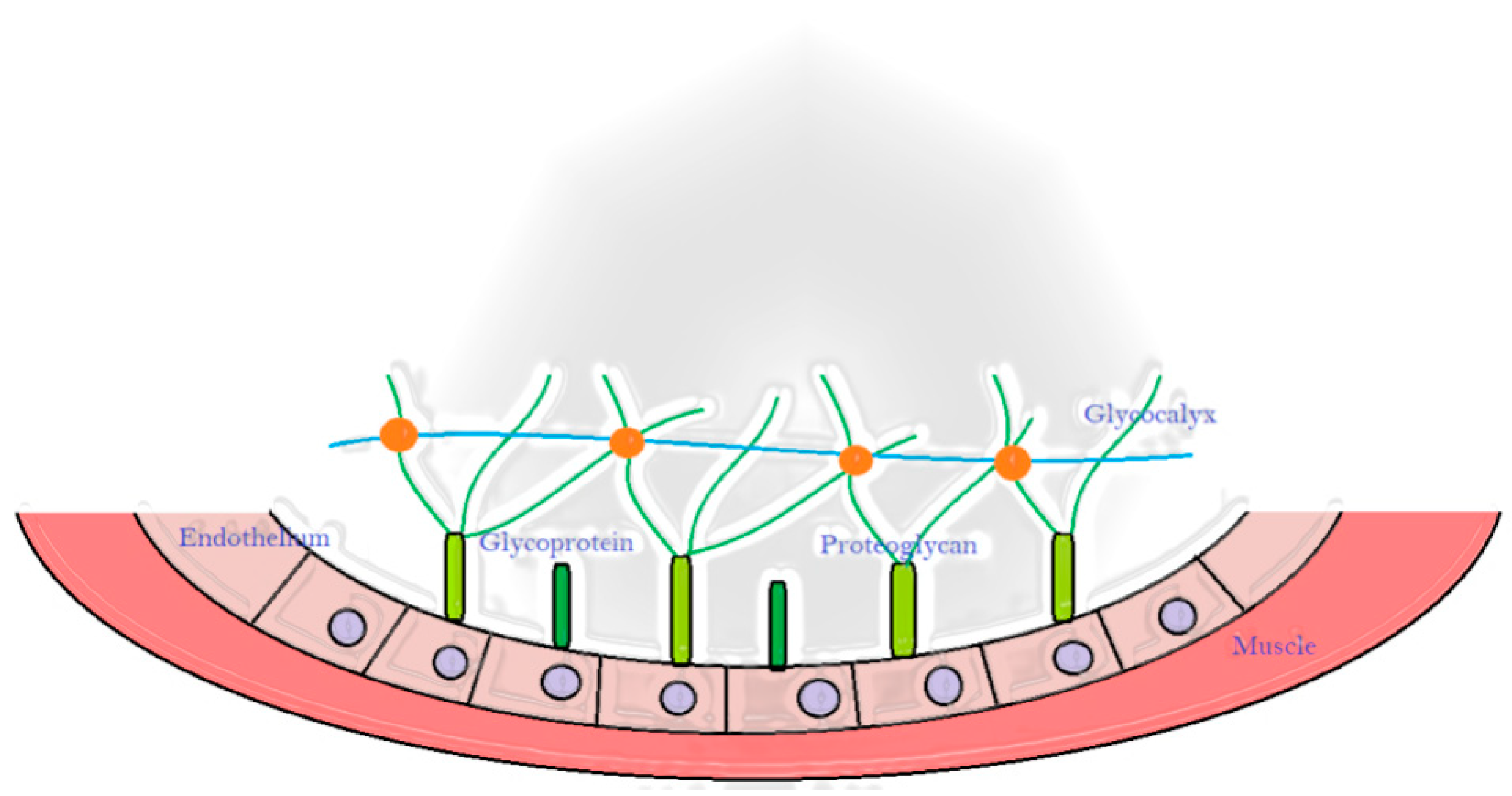 Ijerph 18 10601 g008 Ijerph 18 10601 g008