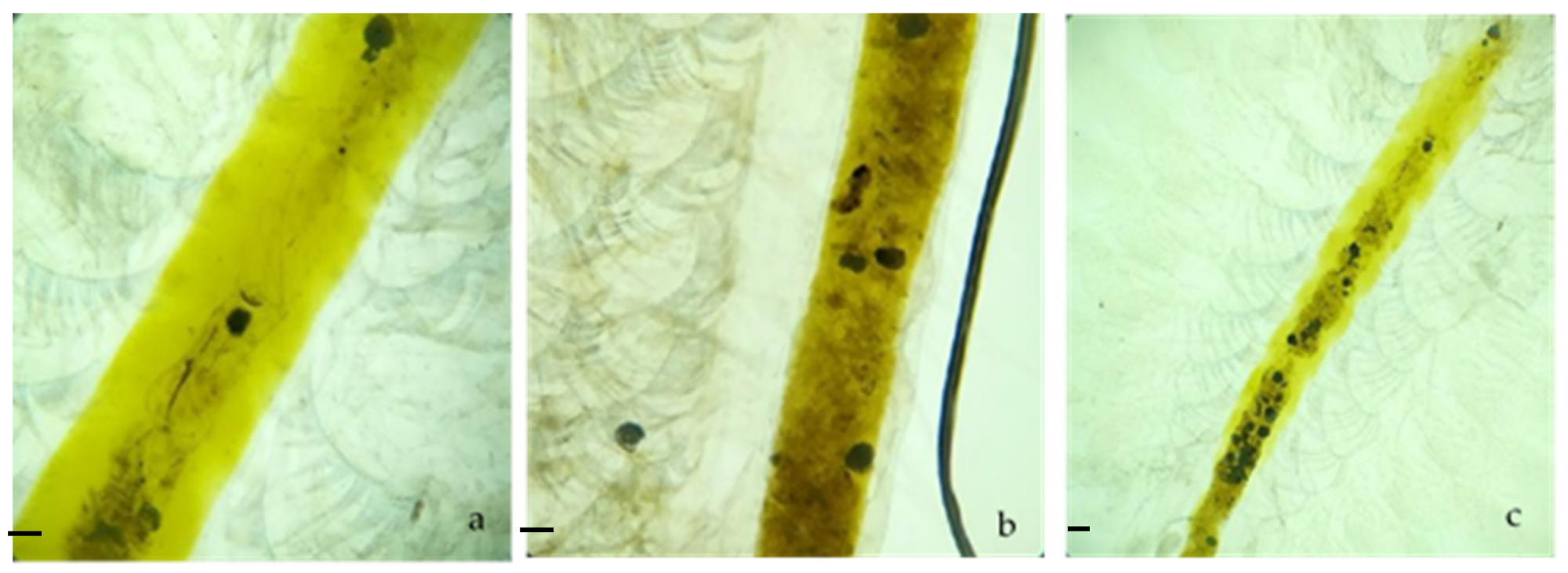 Ijerph 18 10773 g002