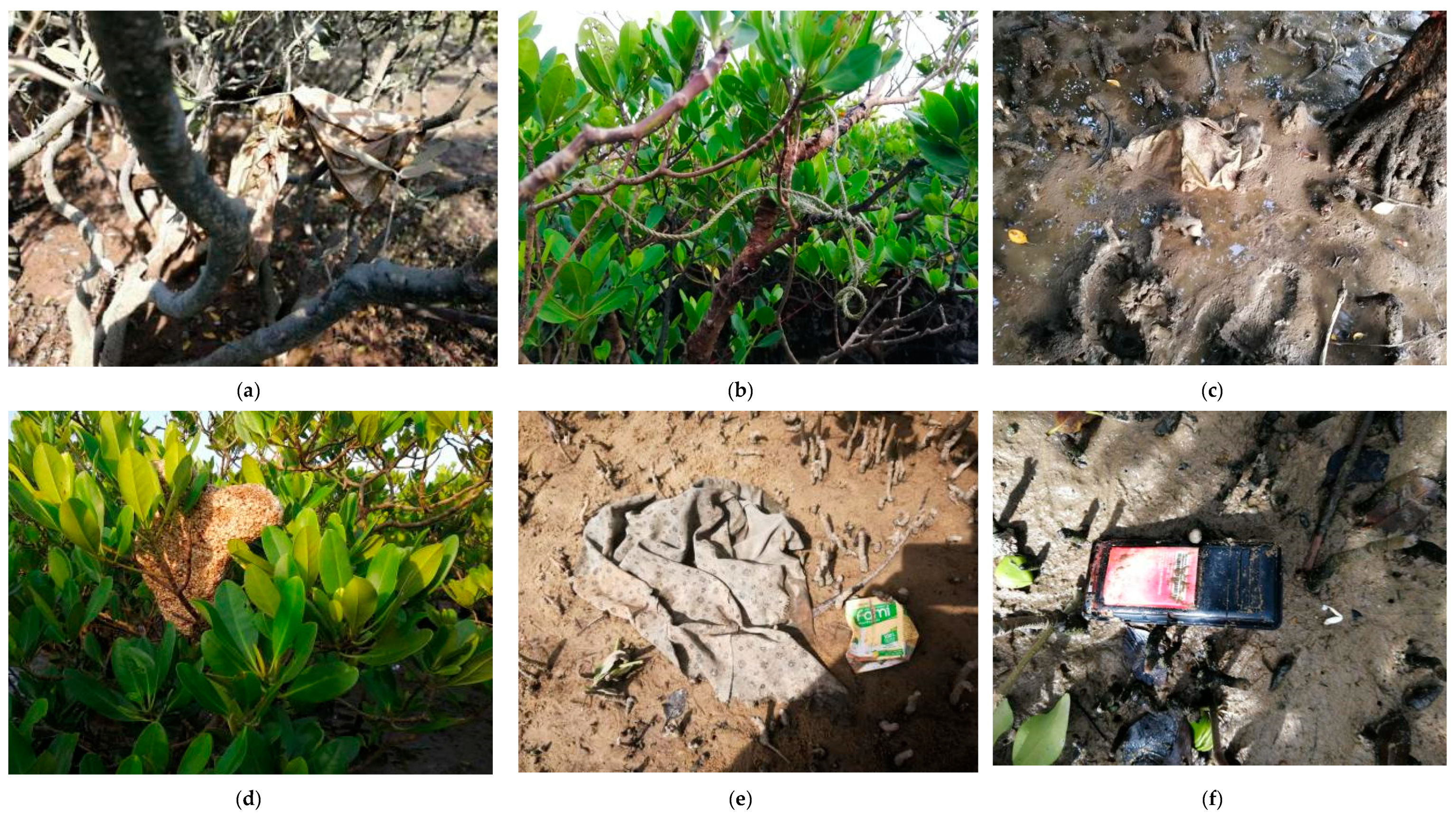 Ijerph 18 10826 g002a 550