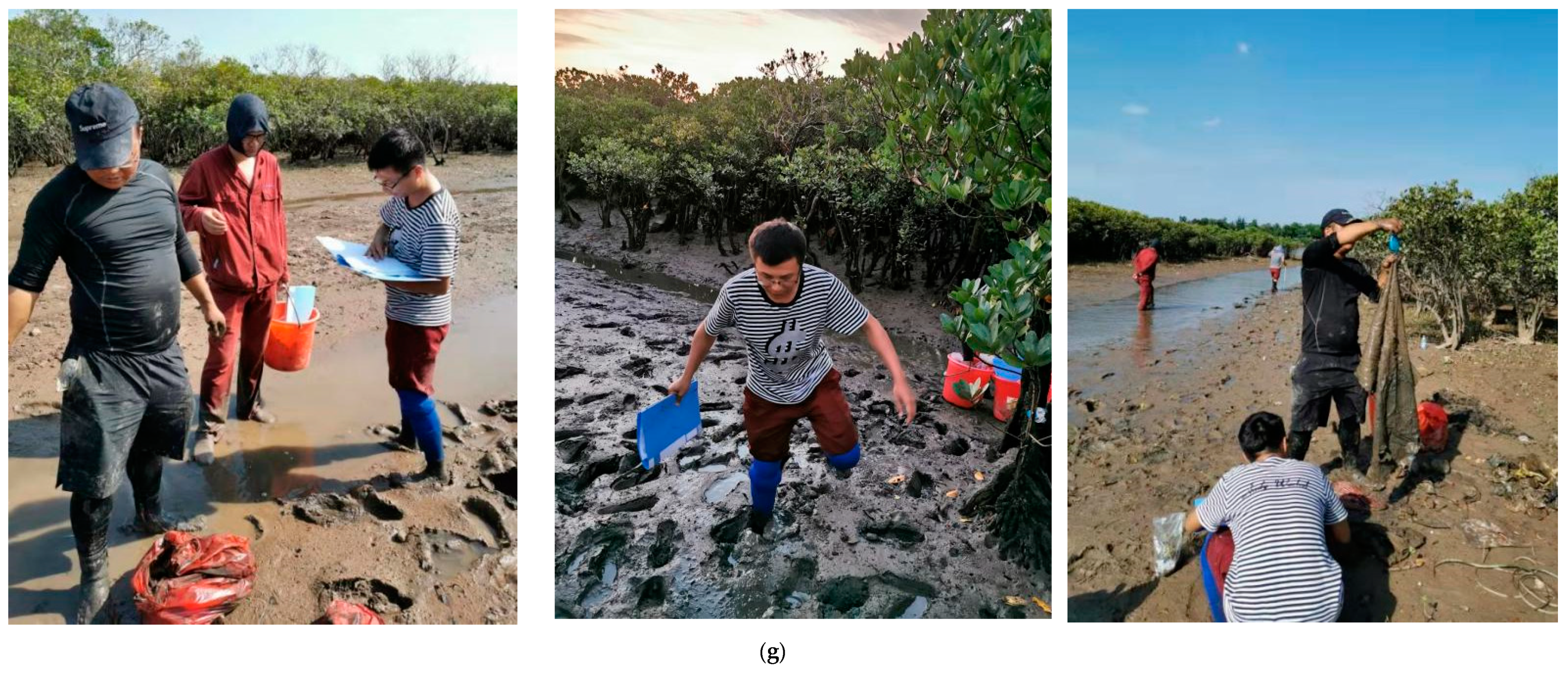 Ijerph 18 10826 g002b 550