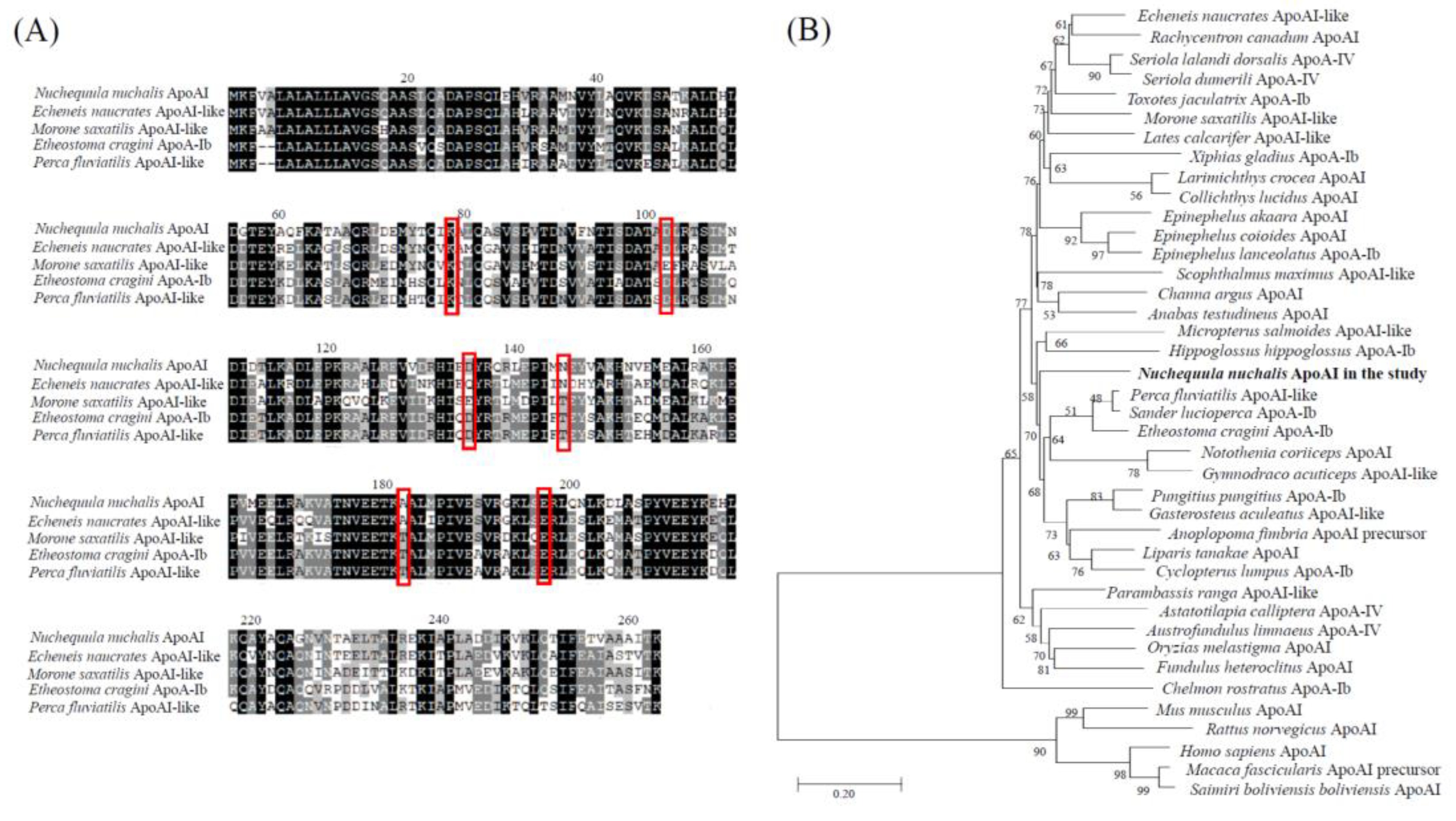 Ijerph 18 10960 g003 550