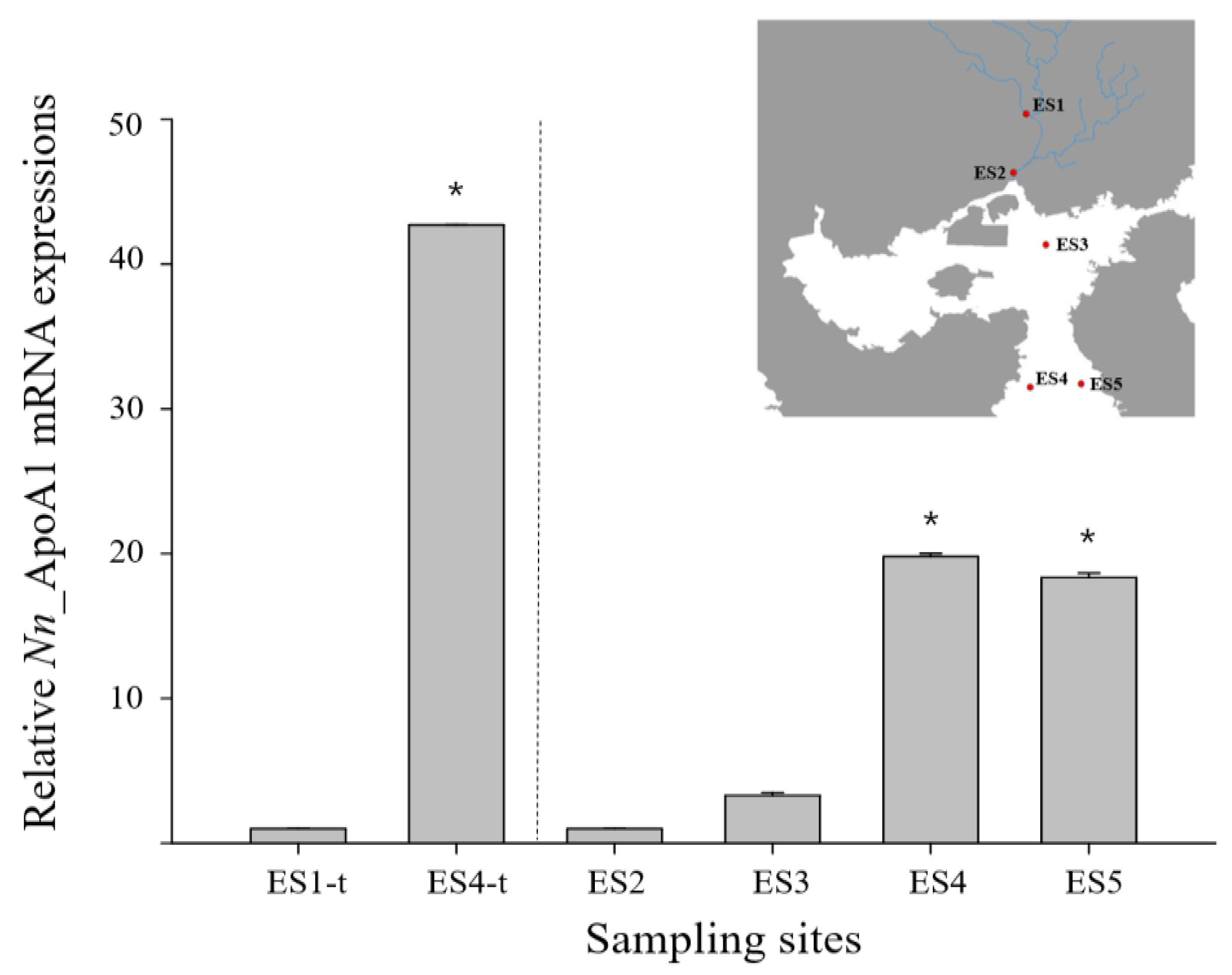 Ijerph 18 10960 g004 550